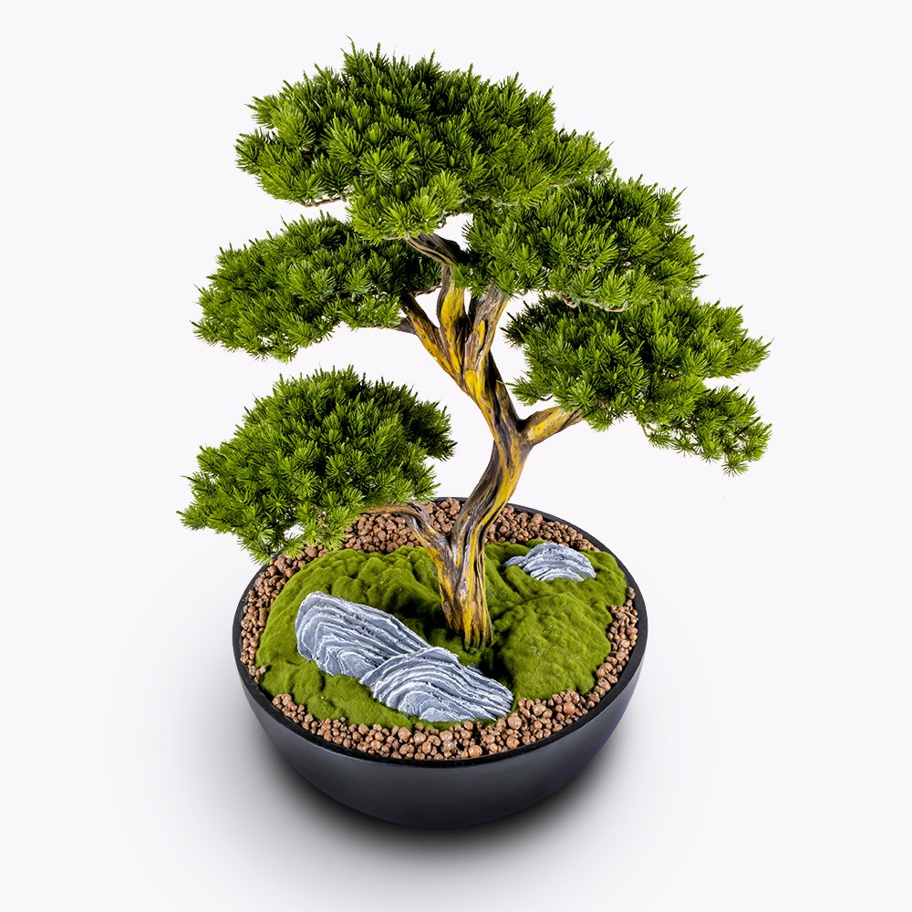 Avior Bonsai - 2