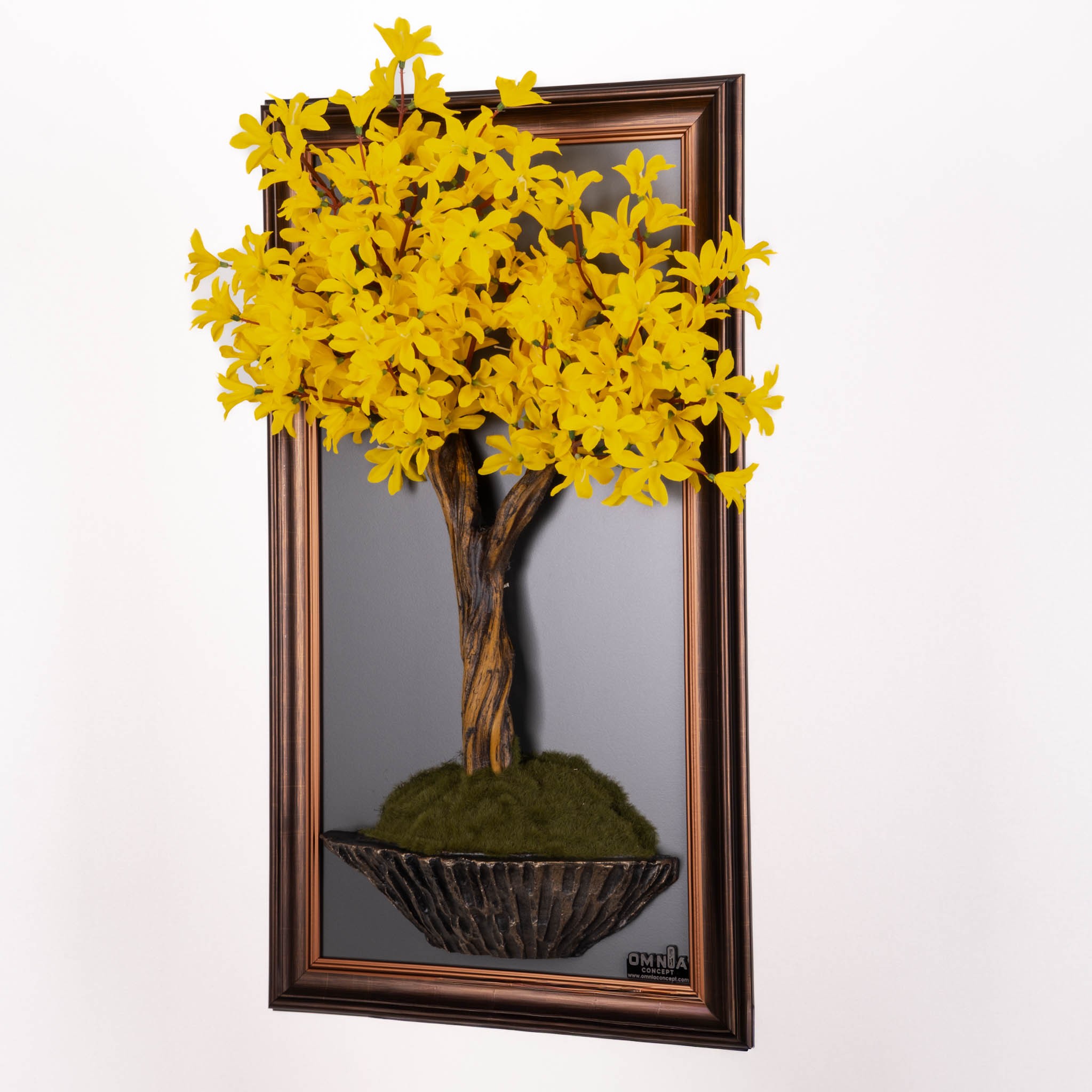 Bonsai Tableau-9