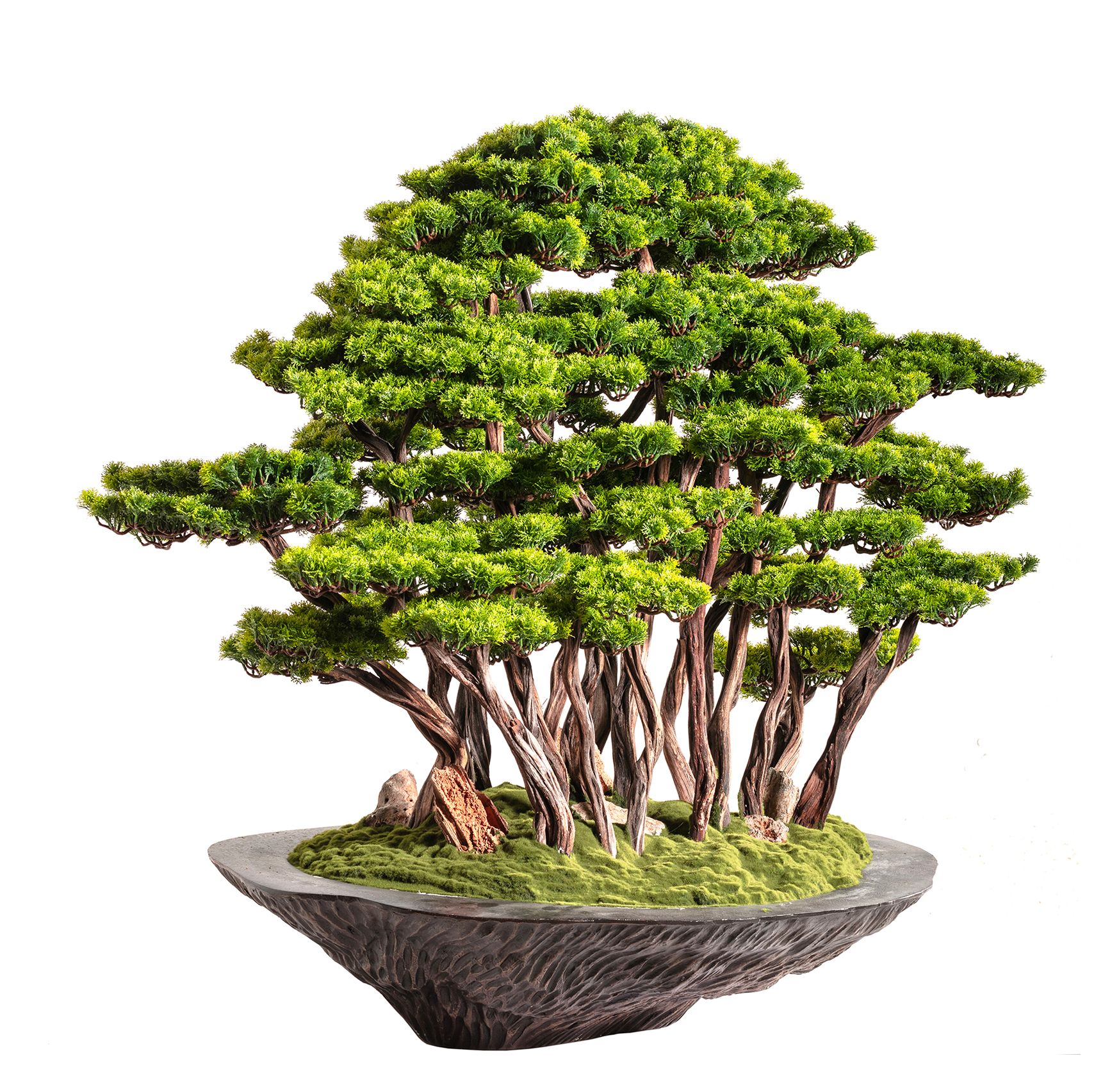 Kursa Bonsai Garden