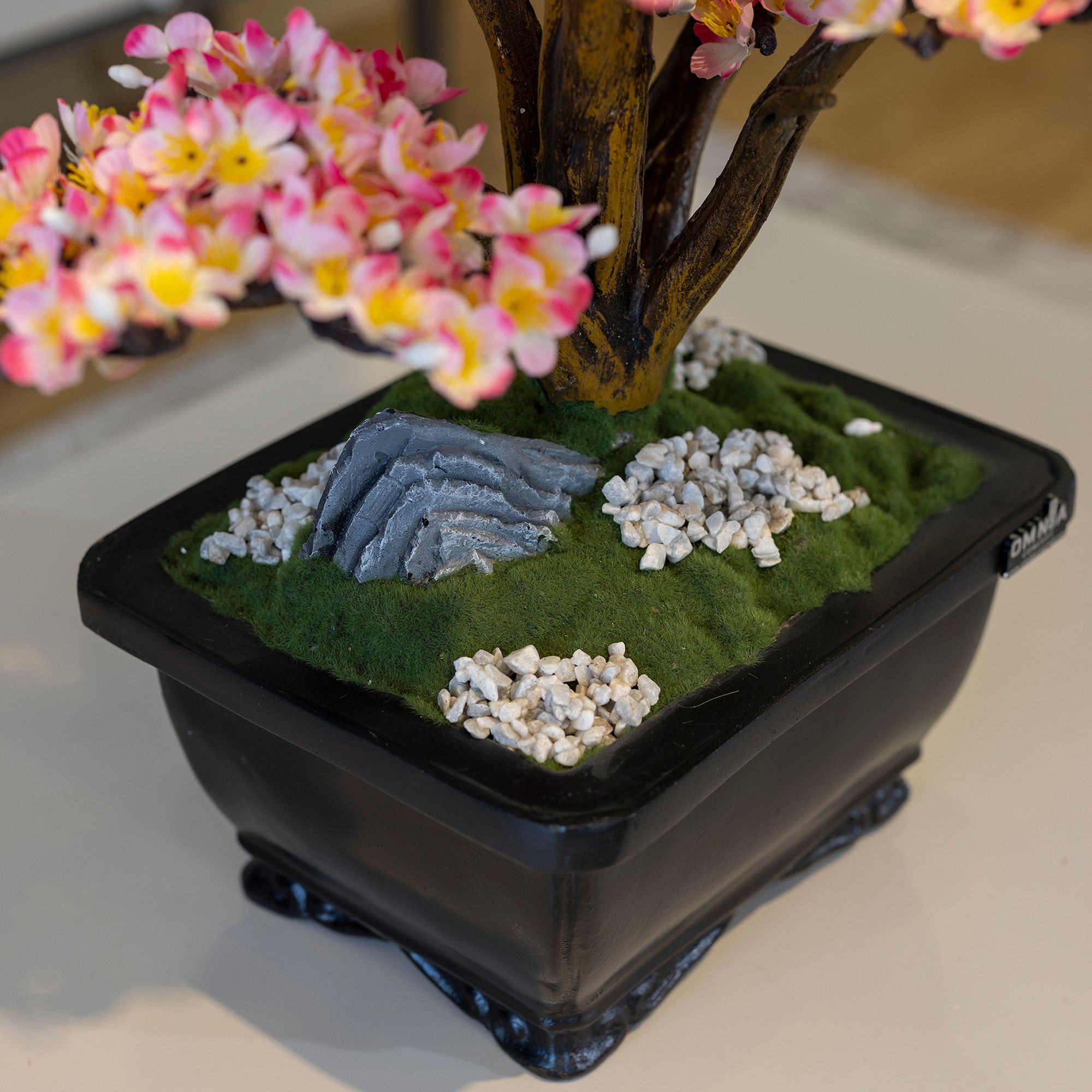 Flora Bonsai-2