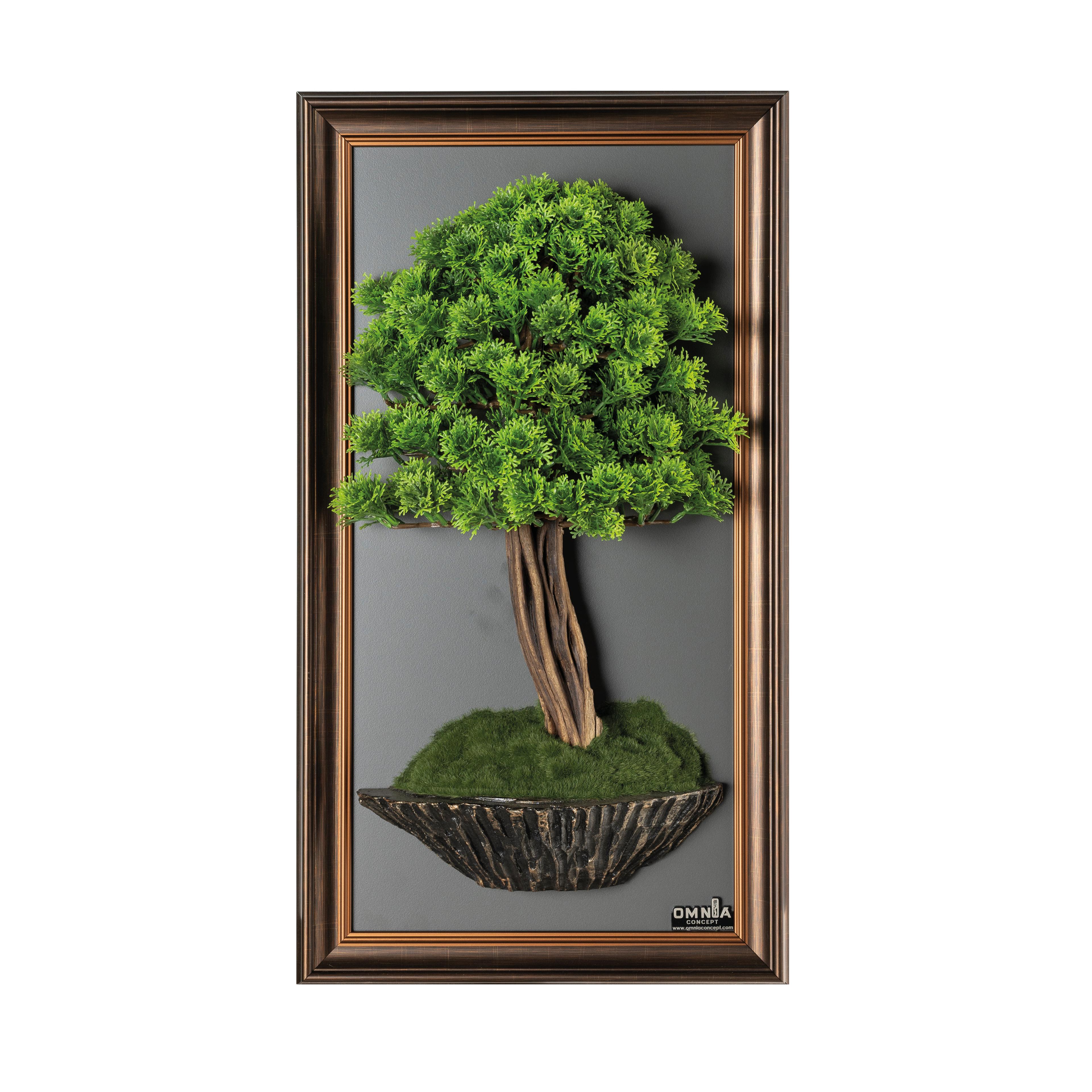 Bonsai Tableau-7B