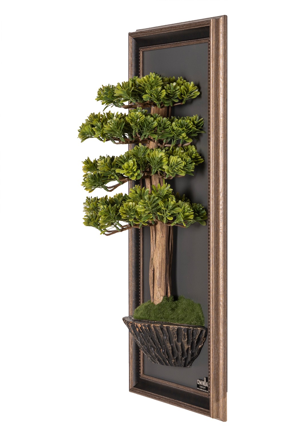 Bonsai Tableau-5A