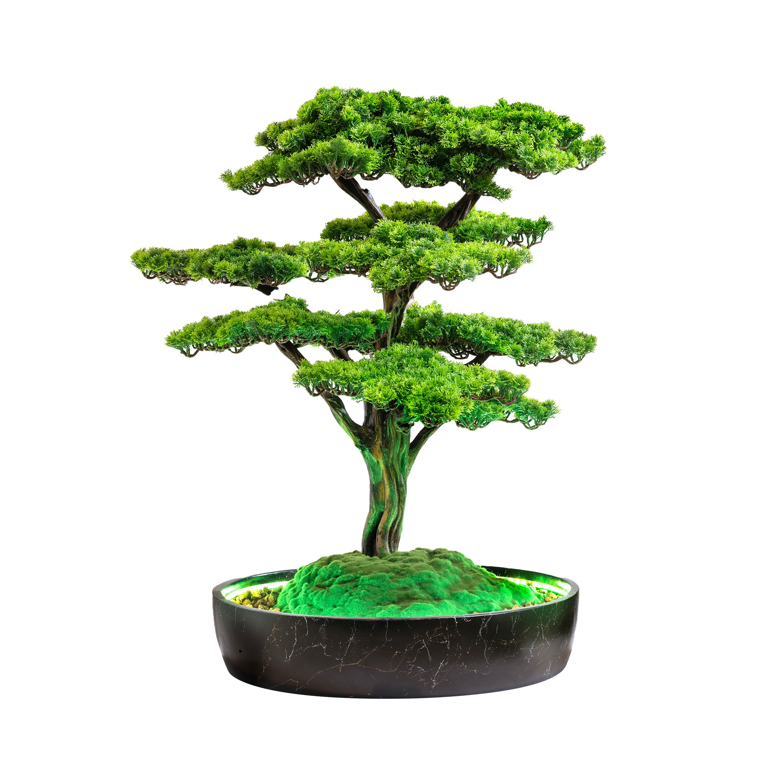 Işıklandırılmış Bonsai Ağacı - 2