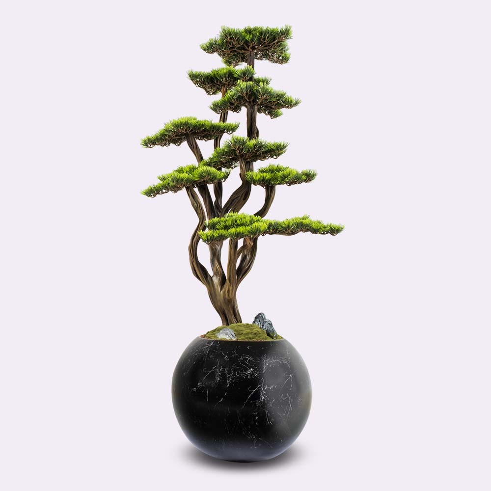 Mira Bonsai - 4