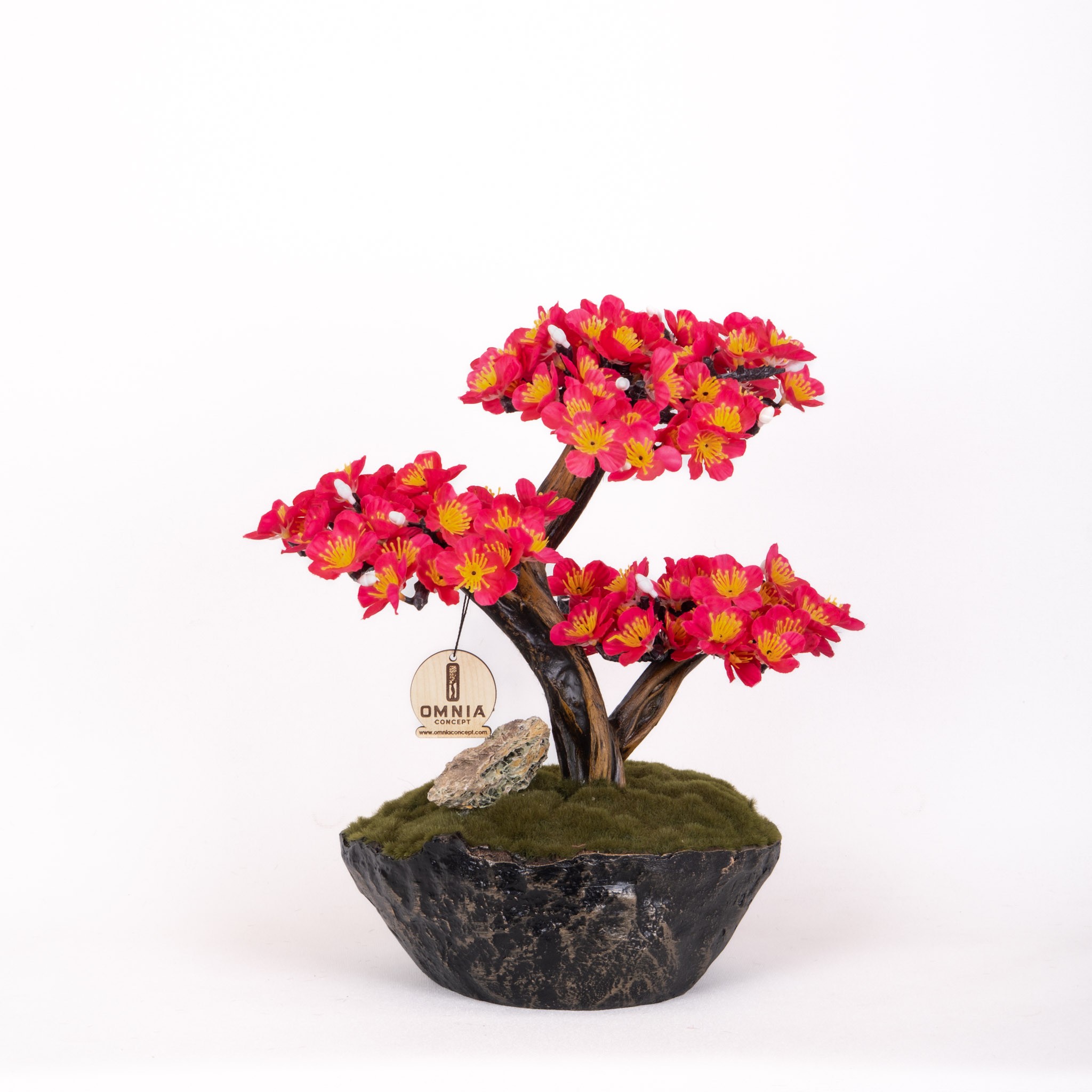 Calipso Bonsai-2-1