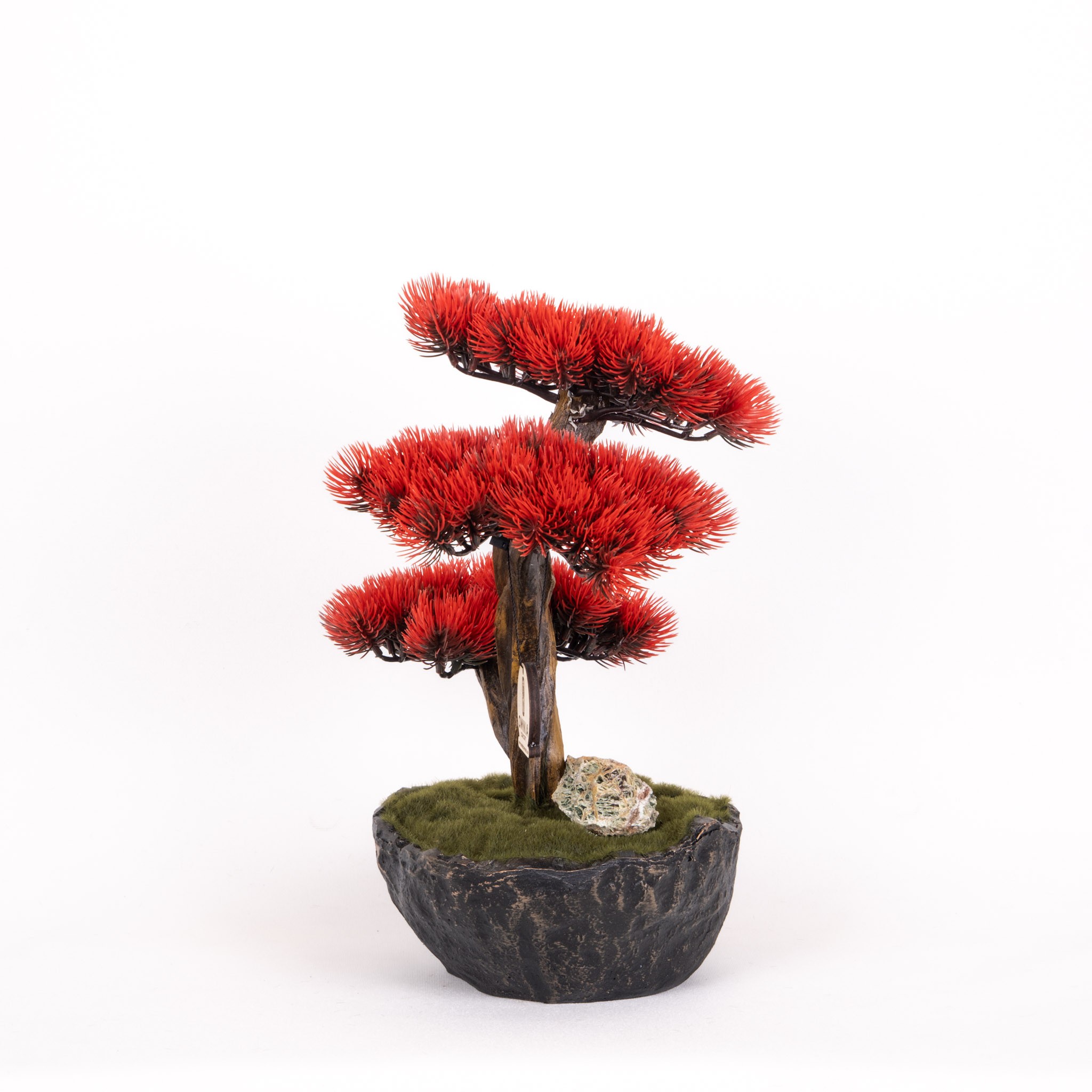 Calipso Bonsai-3-1
