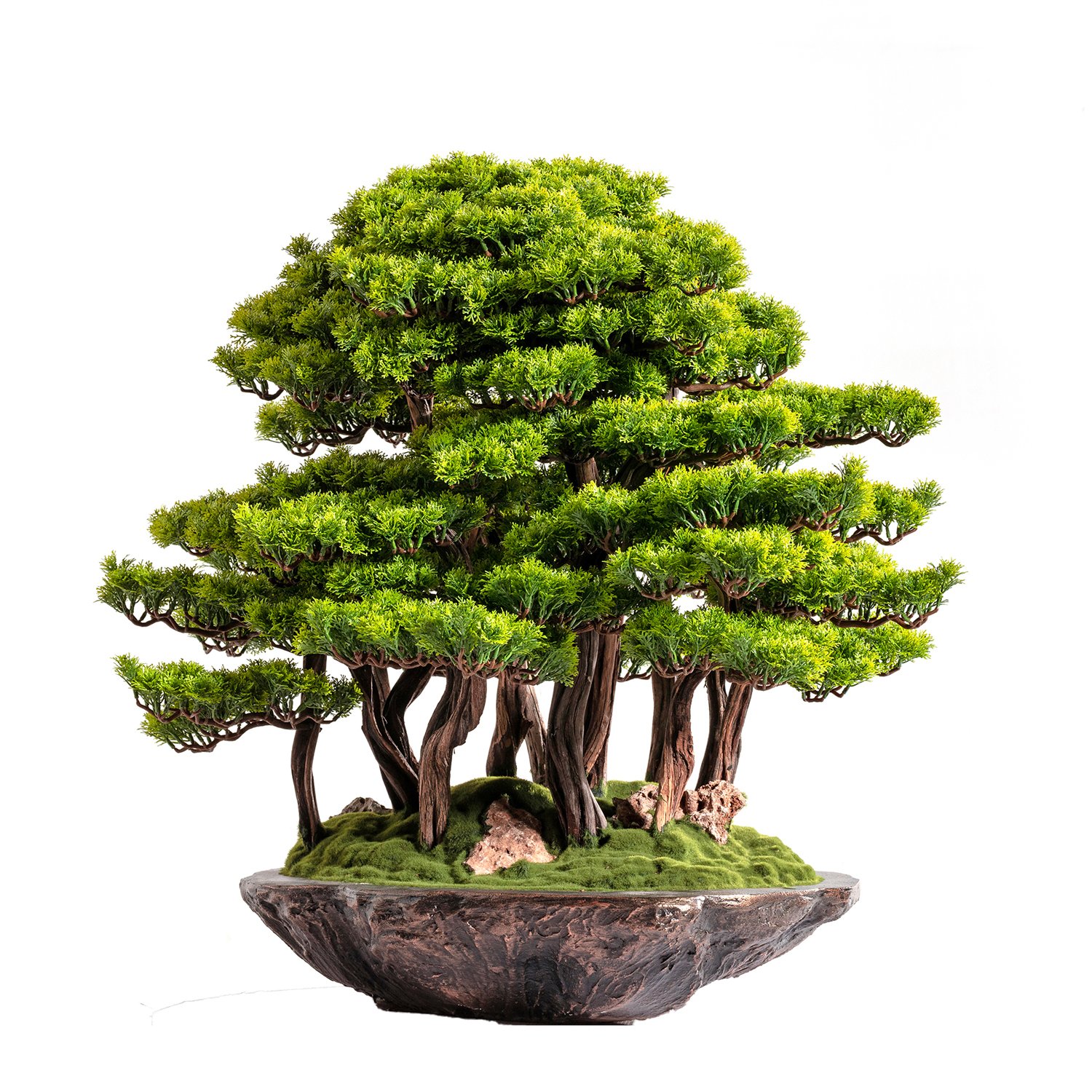 Callisto Bonsai Garden