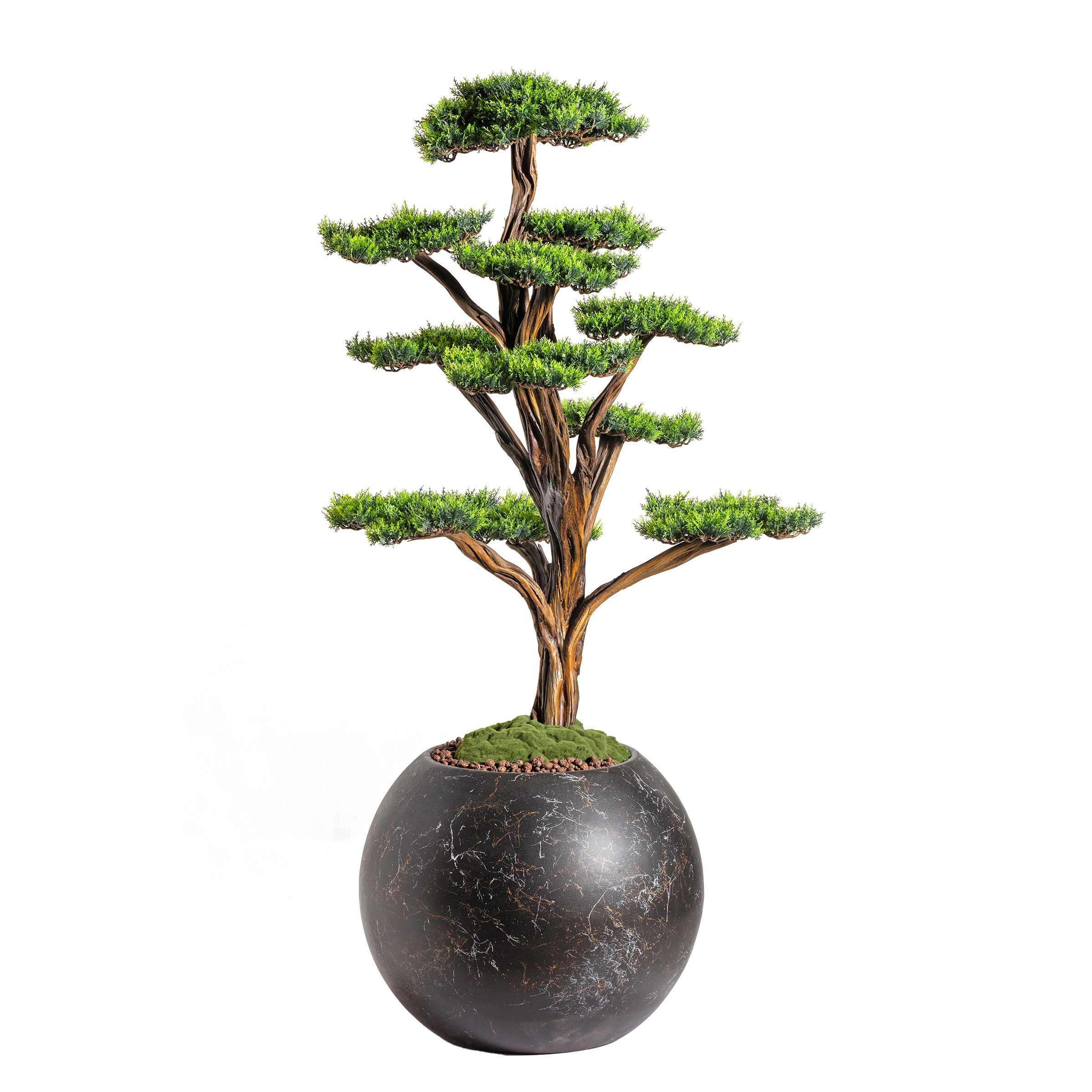 Mira Bonsai - 1