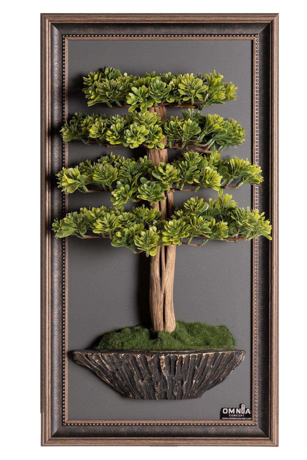 Bonsai Tableau-5A