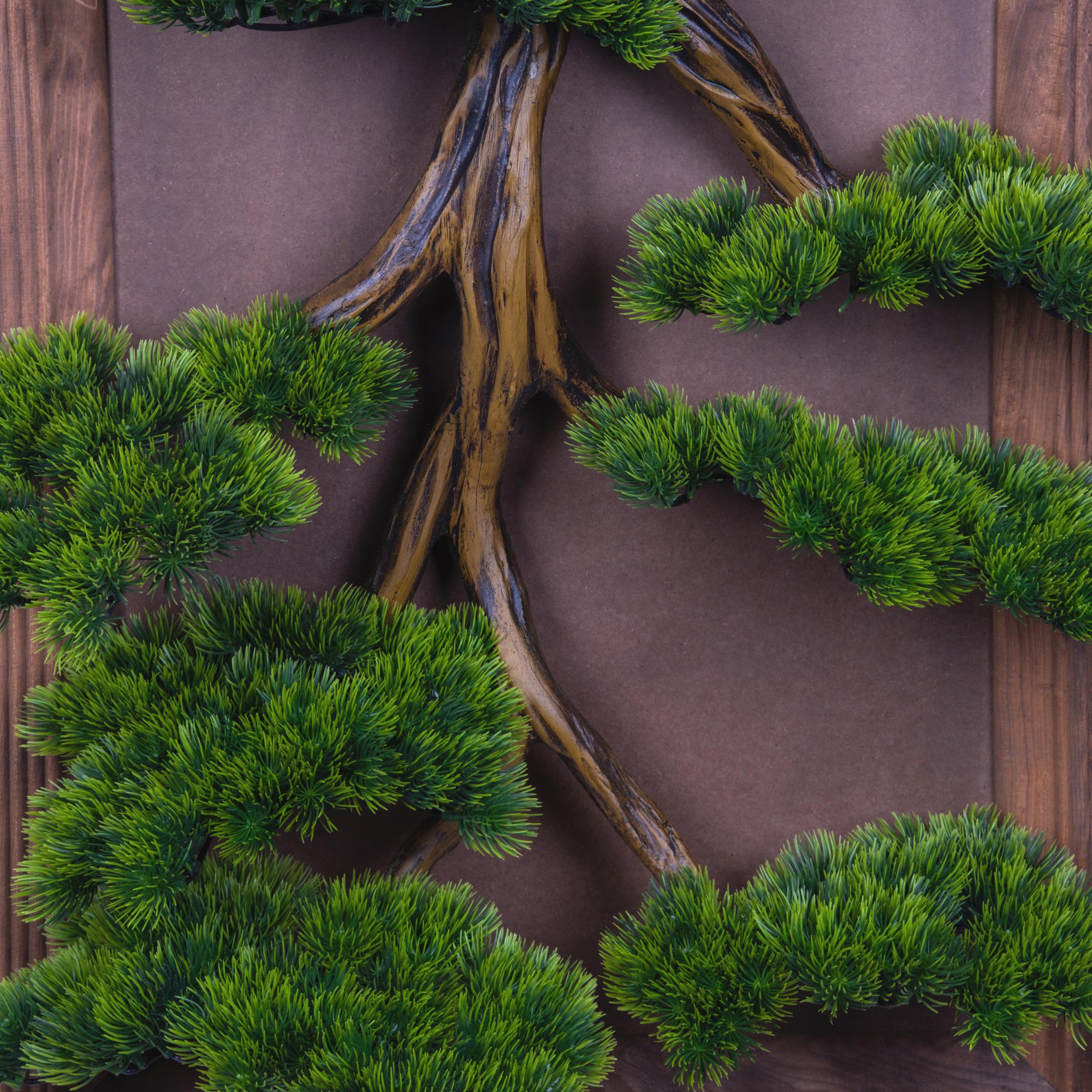 Bonsai Tableau Magnus-3T  -  50x100 cm