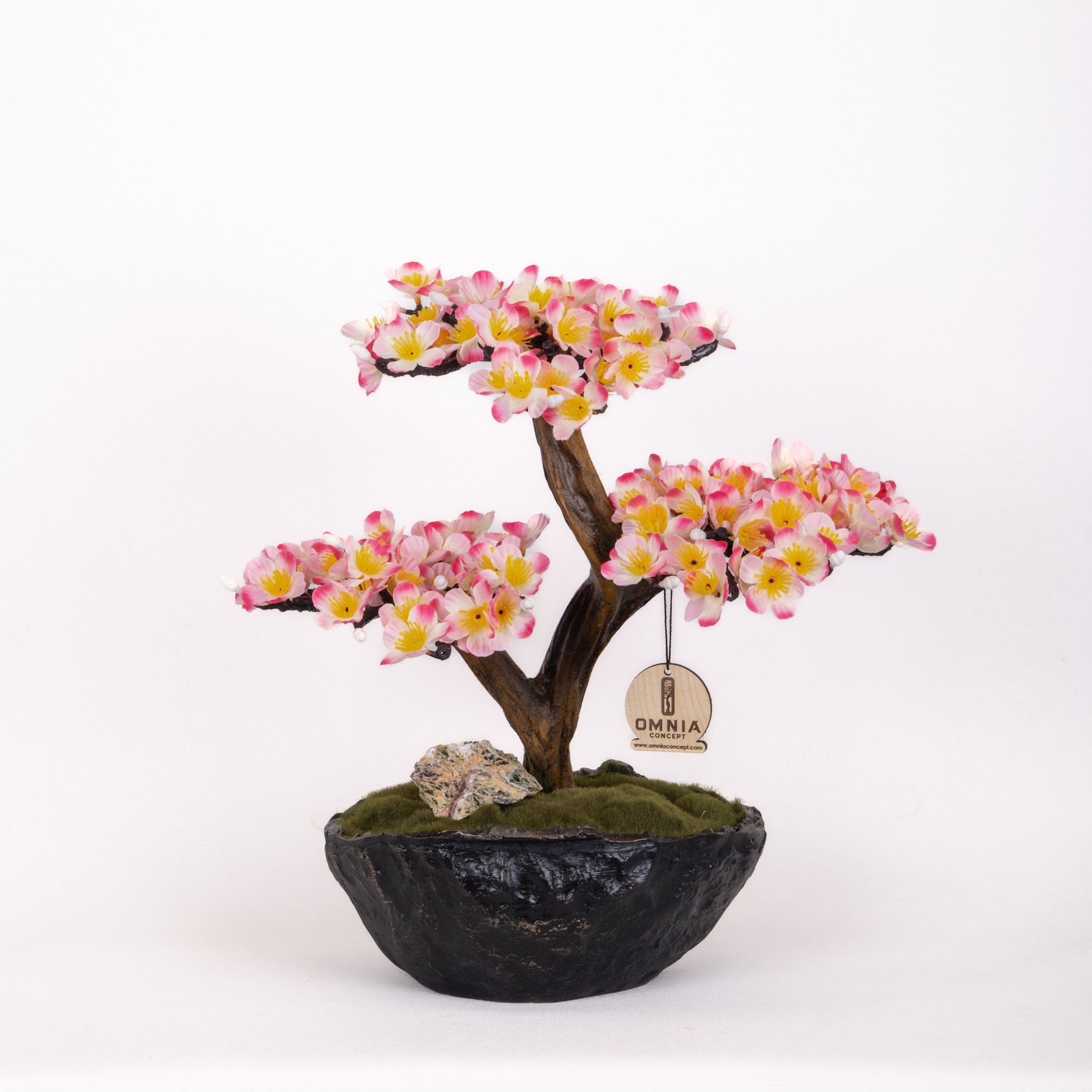 Calipso Bonsai-2