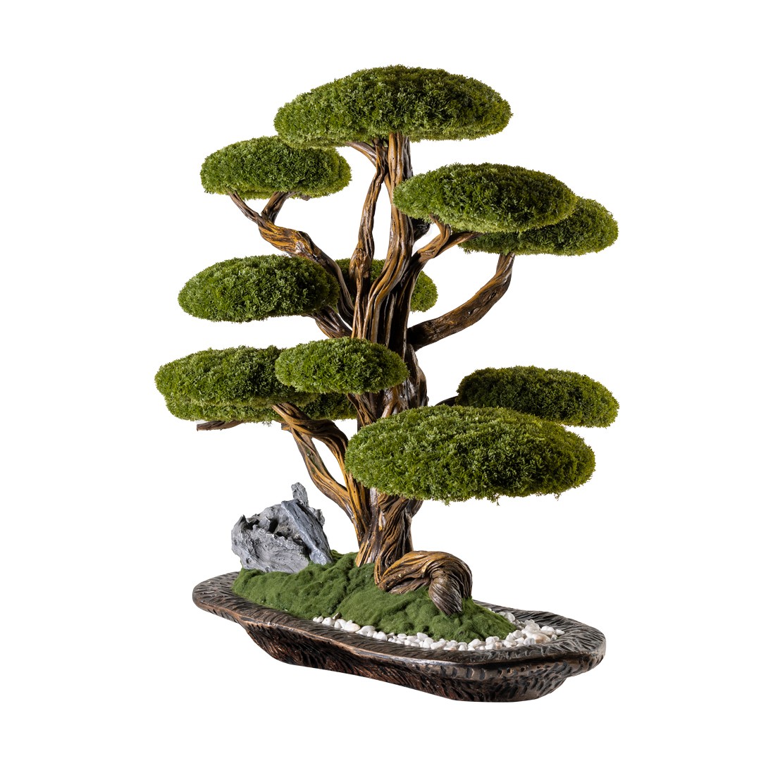 Kursa Thuja - 4