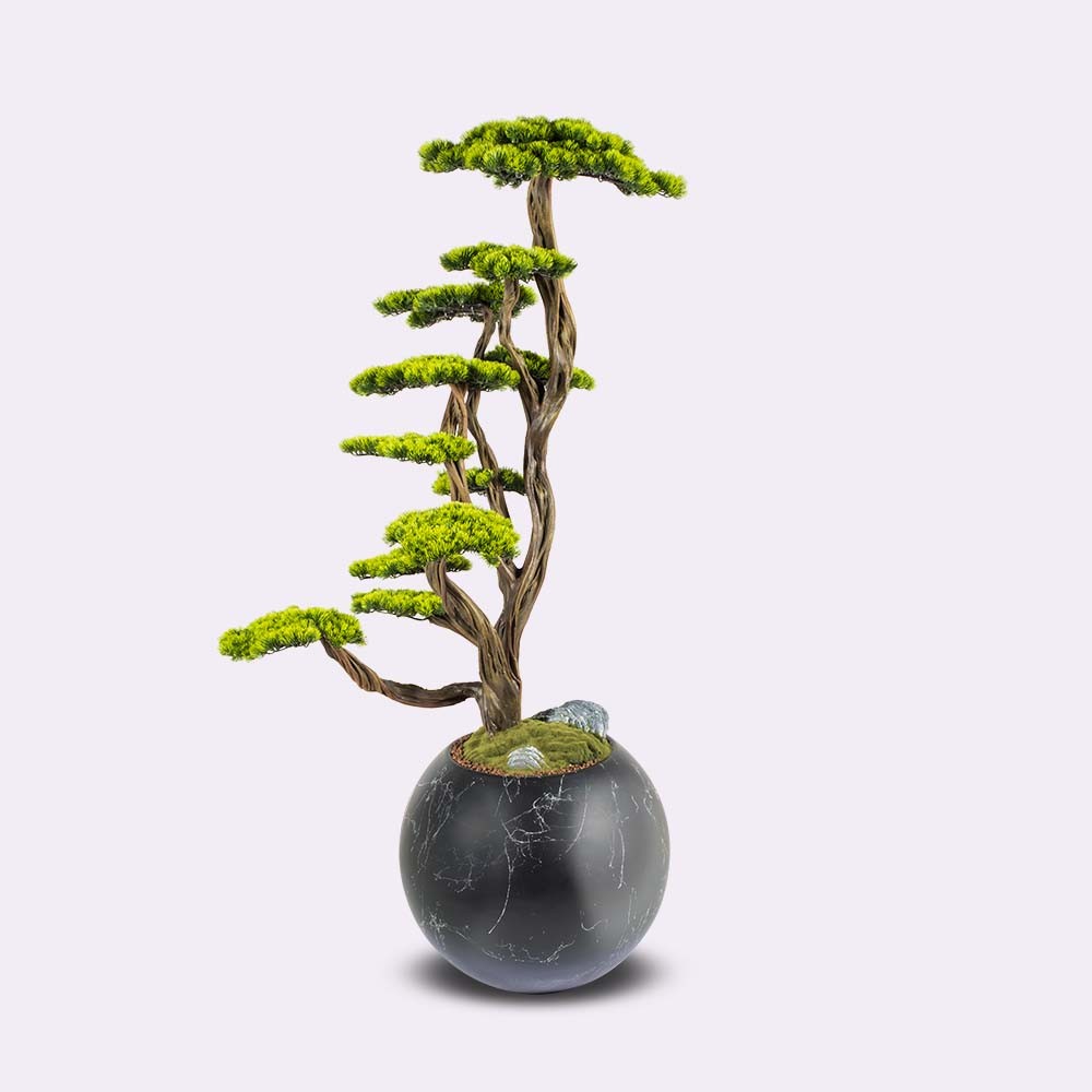 Mira Bonsai - 6