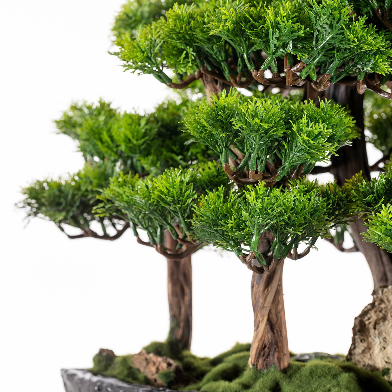 Navis Bonsai Garden