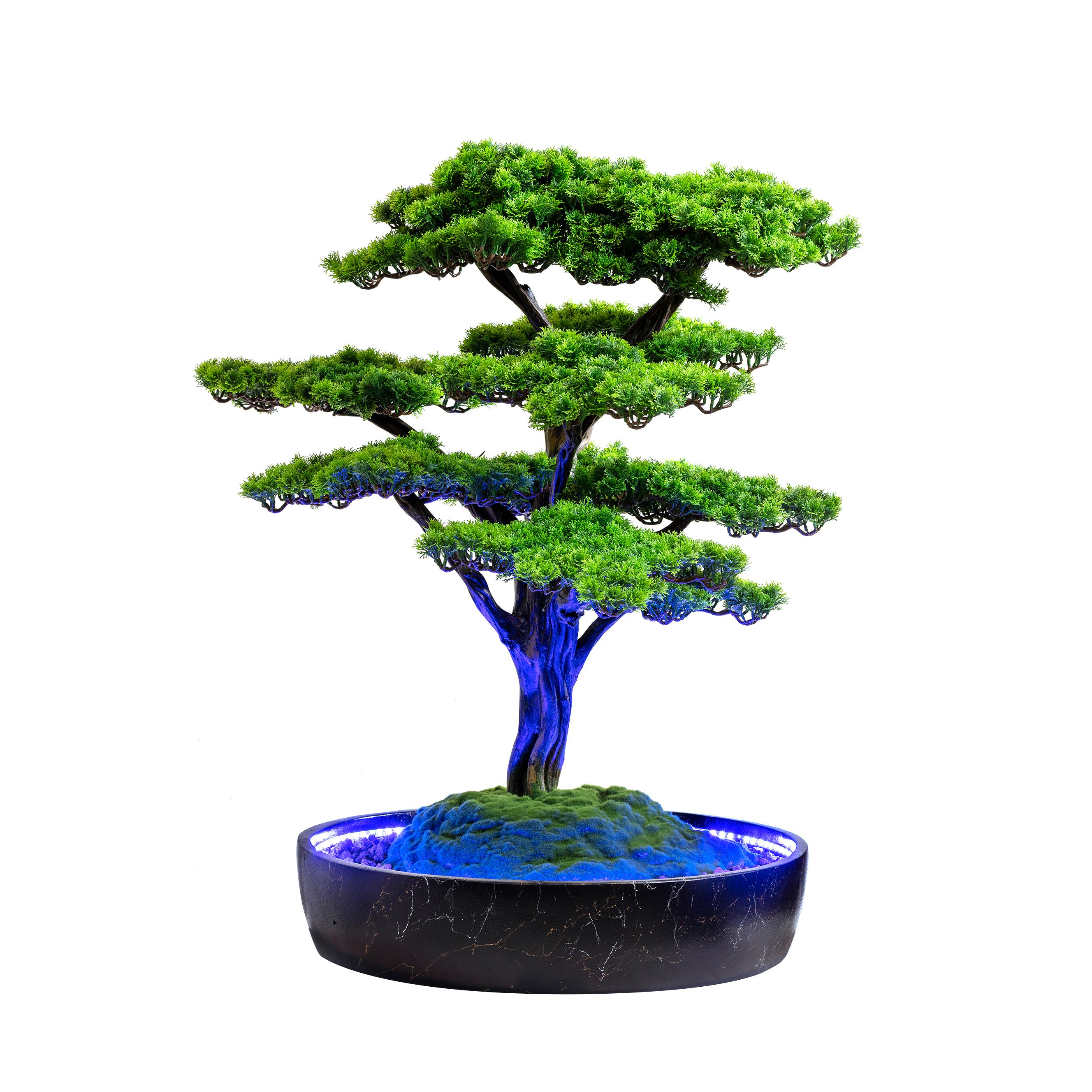 Işıklandırılmış Bonsai Ağacı - 2