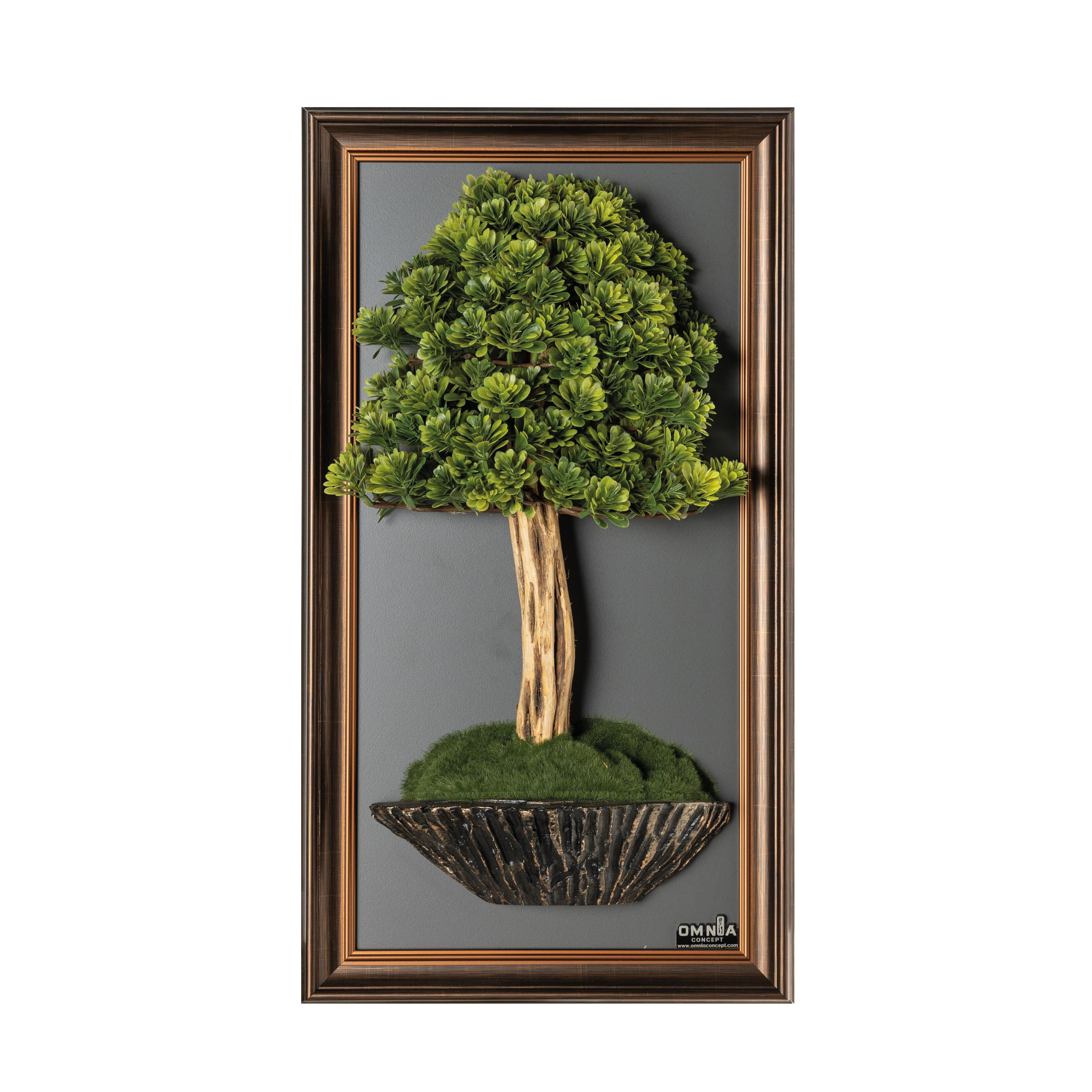 Bonsai Tableau-5B