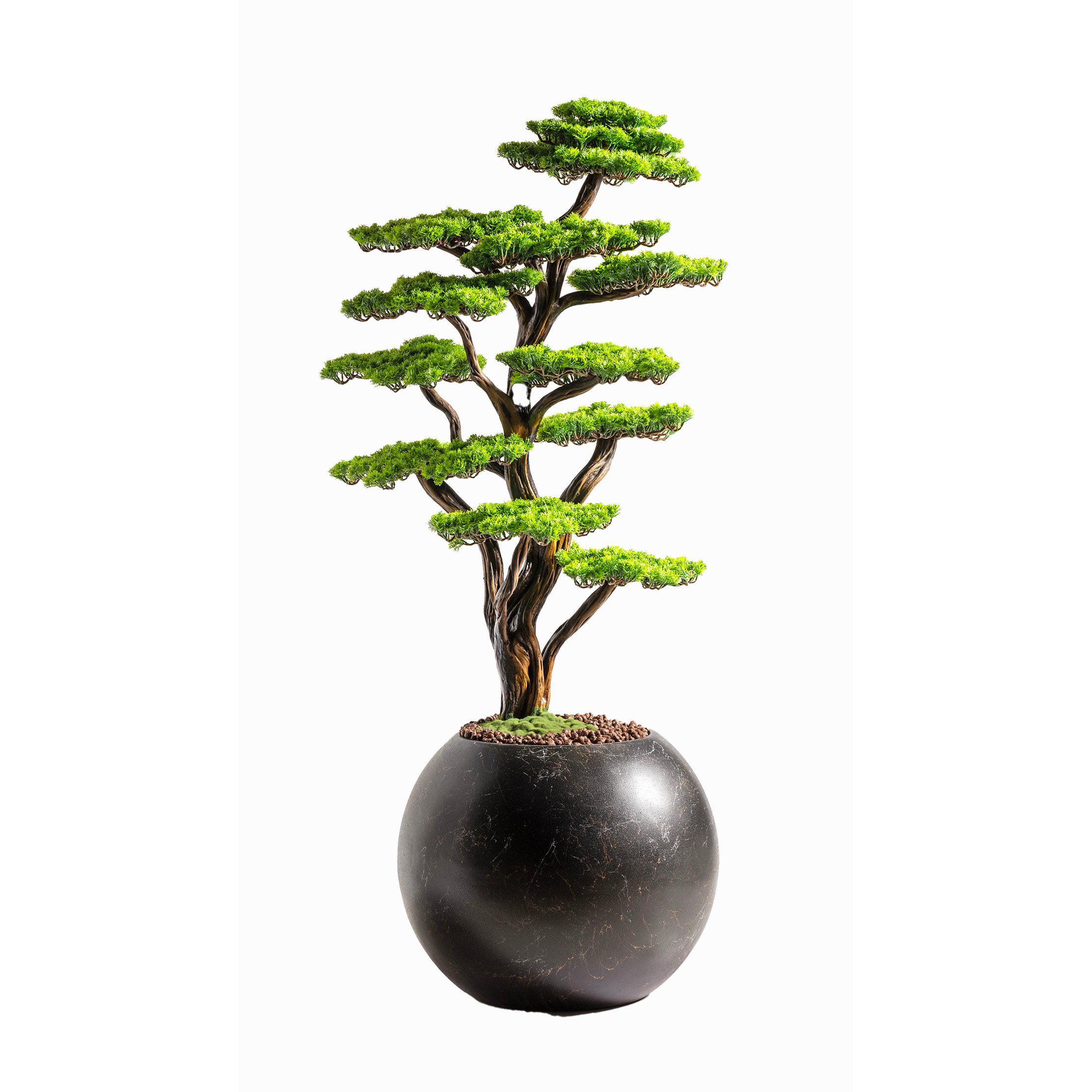 Mira Bonsai - 7