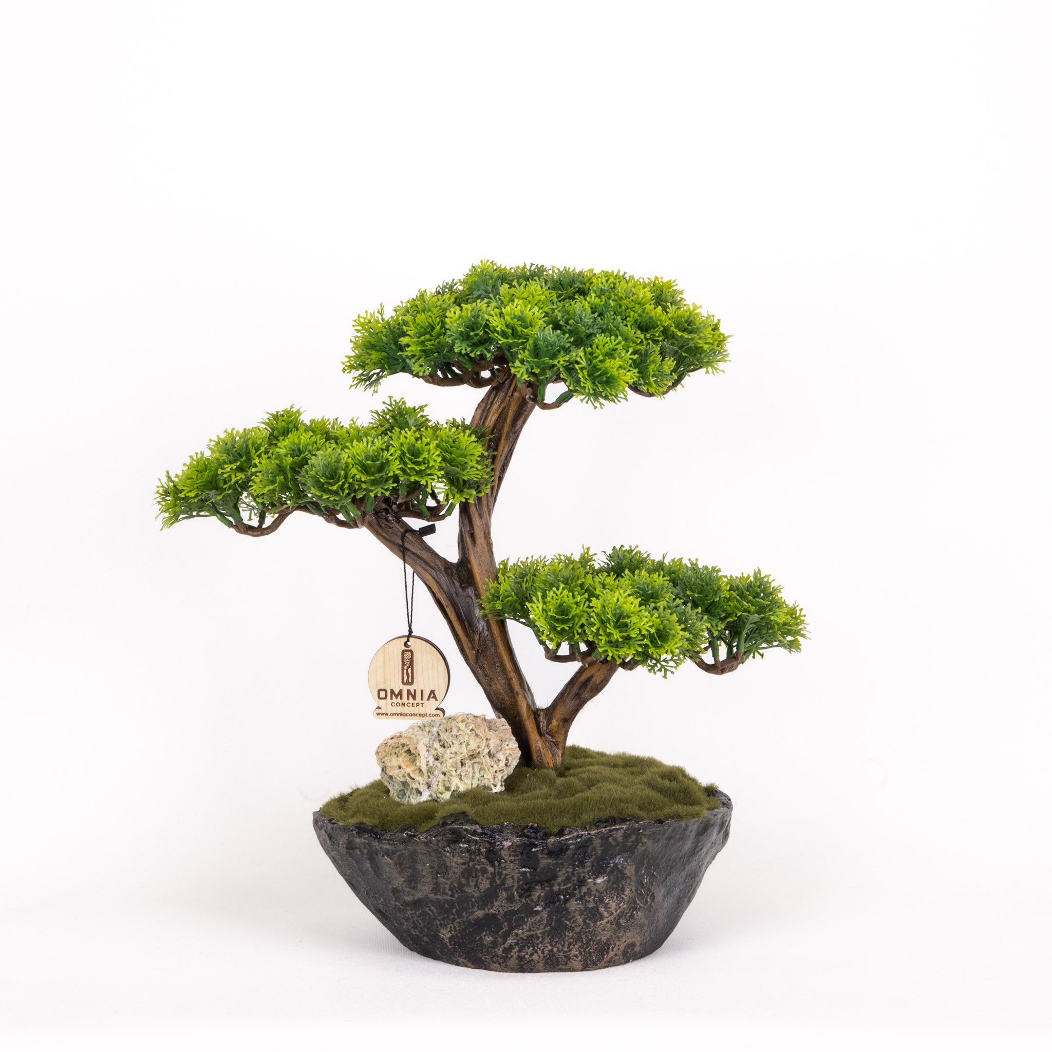 Calipso Bonsai-7