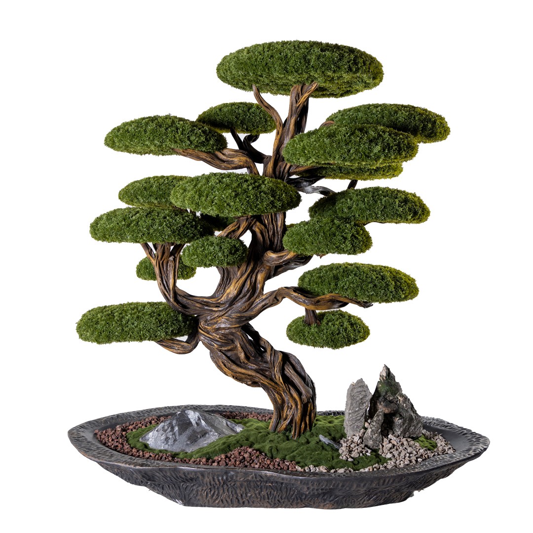 Kursa Thuja - 5