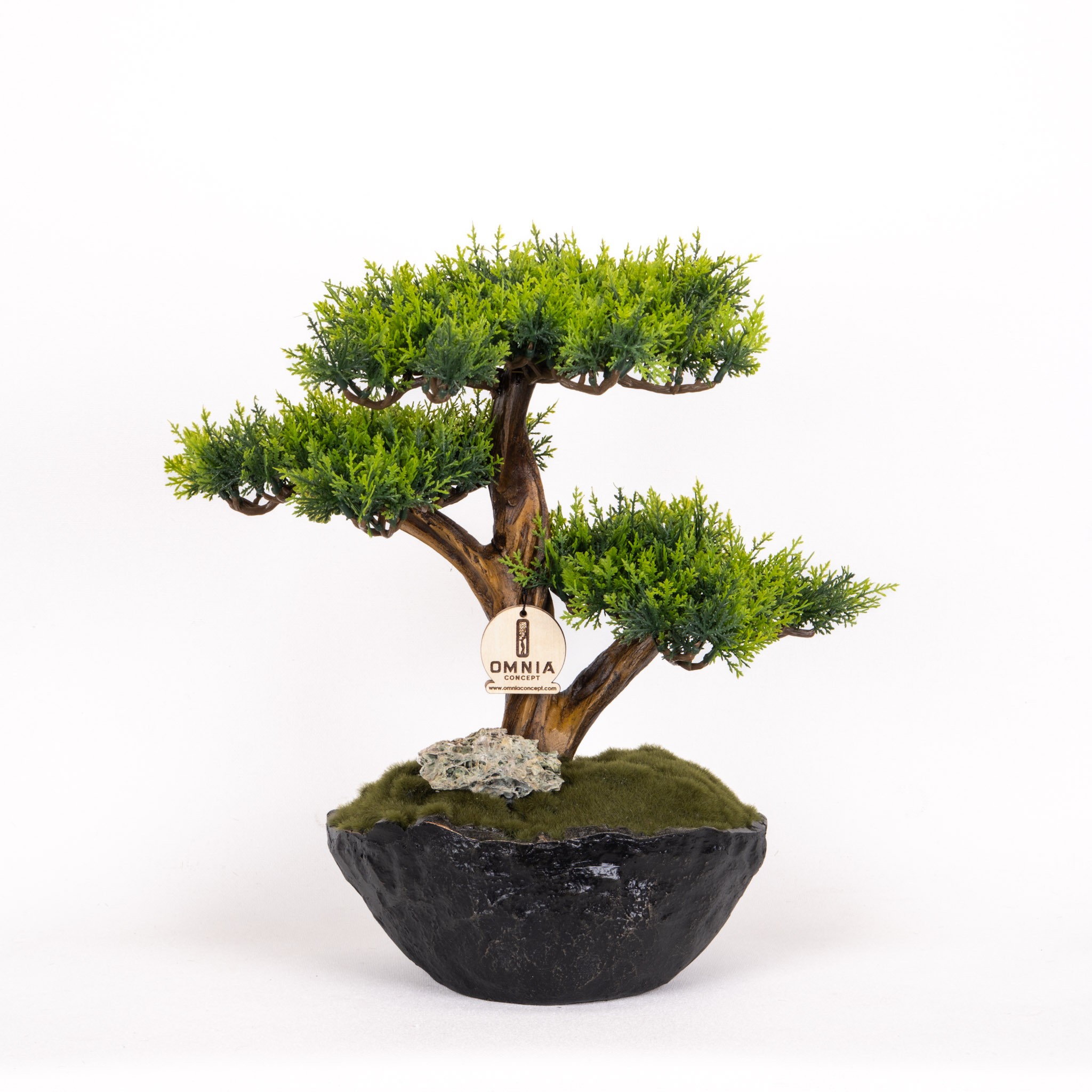 Calipso Bonsai-1