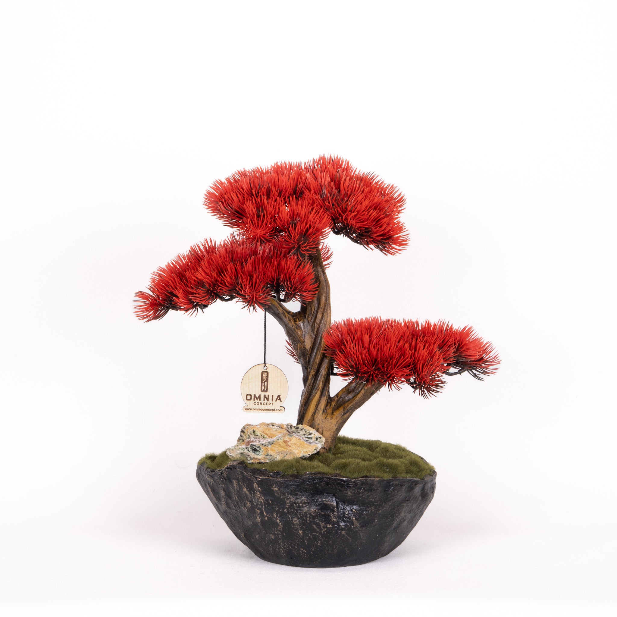 Calipso Bonsai-3-1