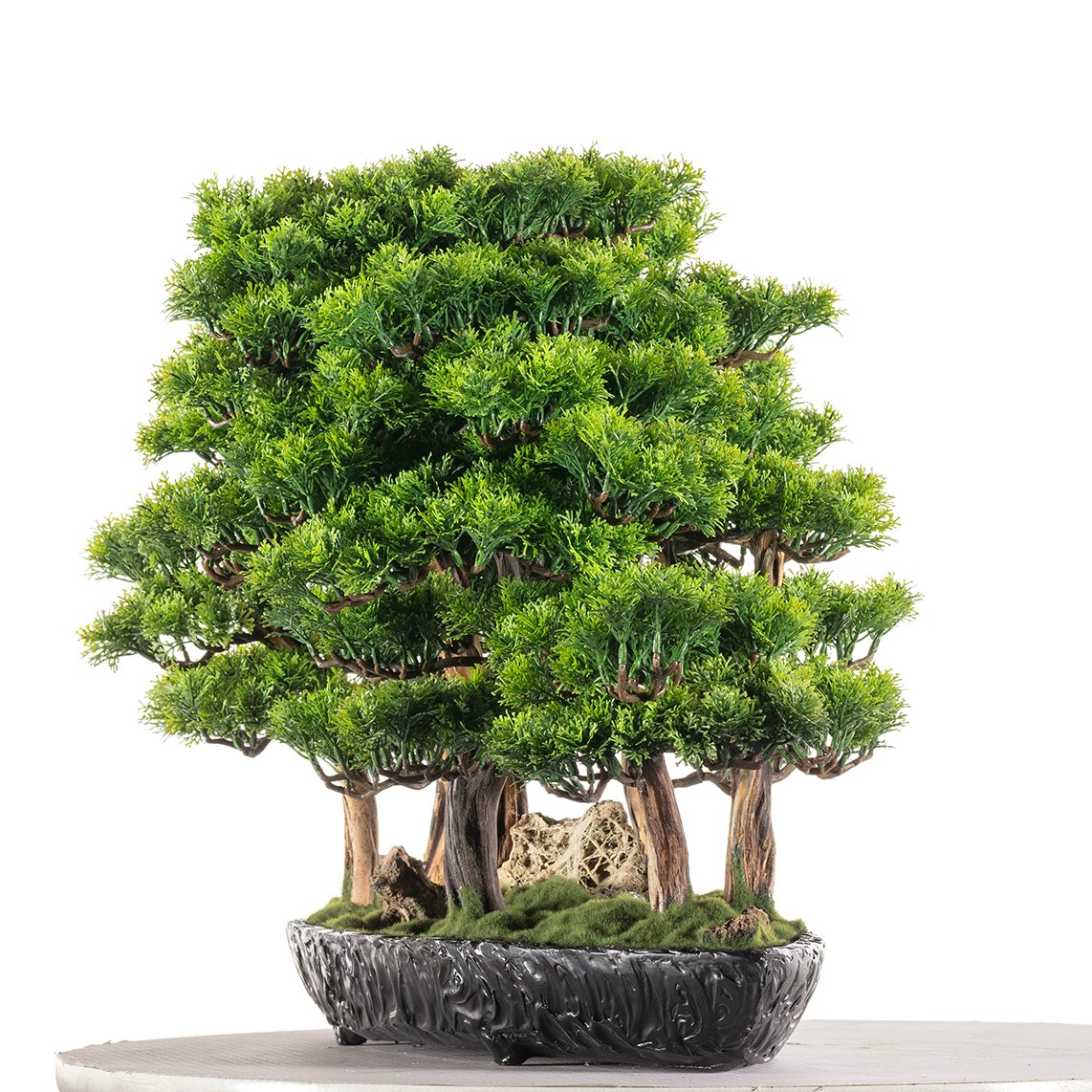 Navis Bonsai Garden