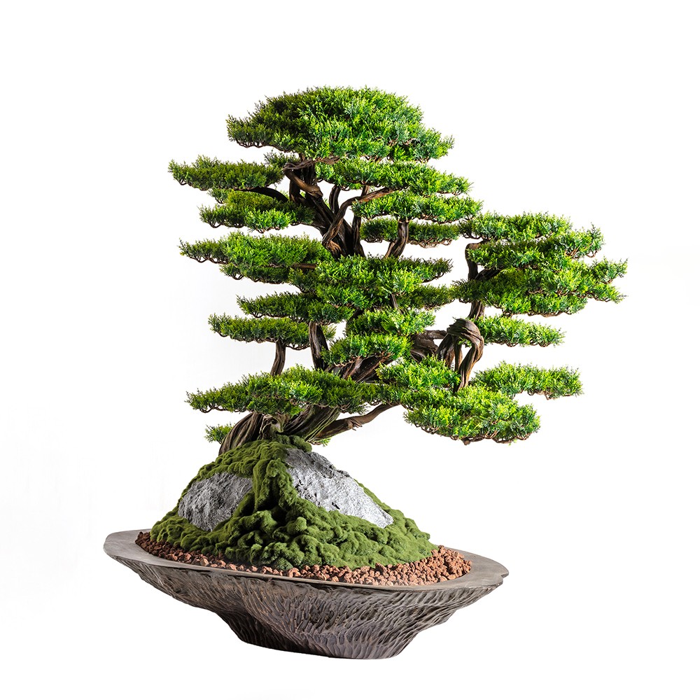 Kursa Thuja - 4