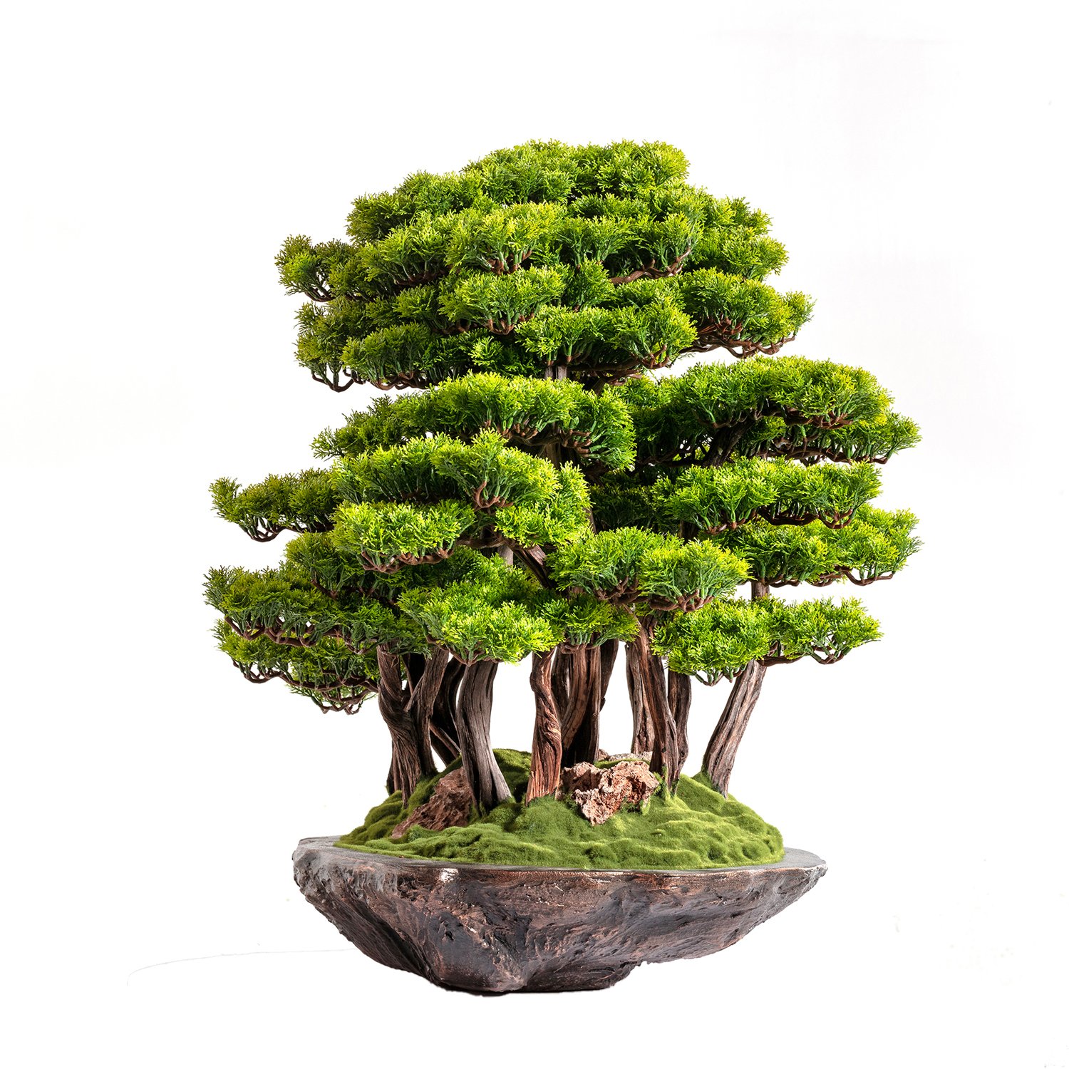 Callisto Bonsai Garden