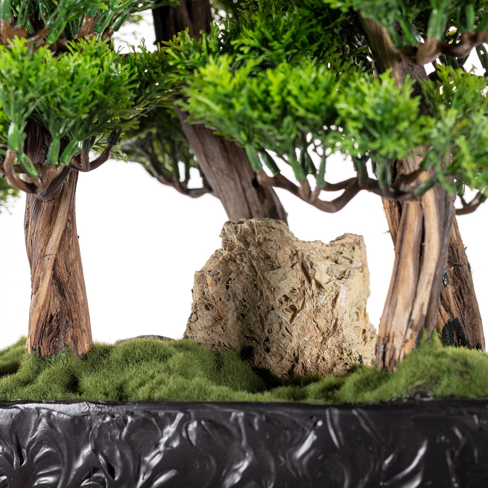 Navis Bonsai Garden