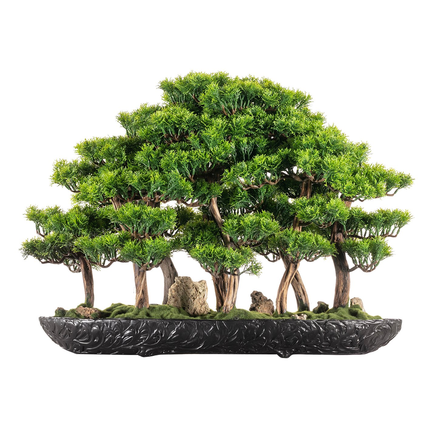 Navis Bonsai Garden