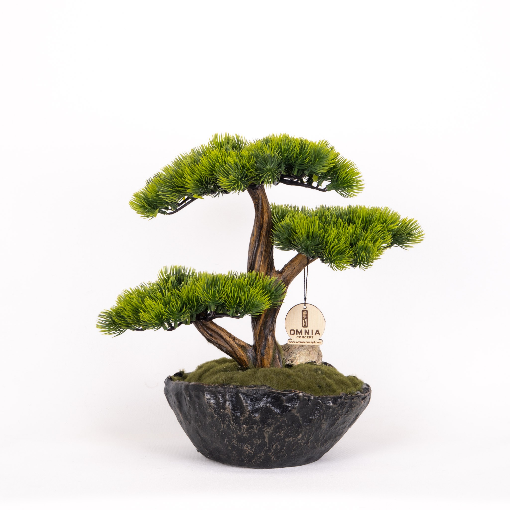 Calipso Bonsai-3
