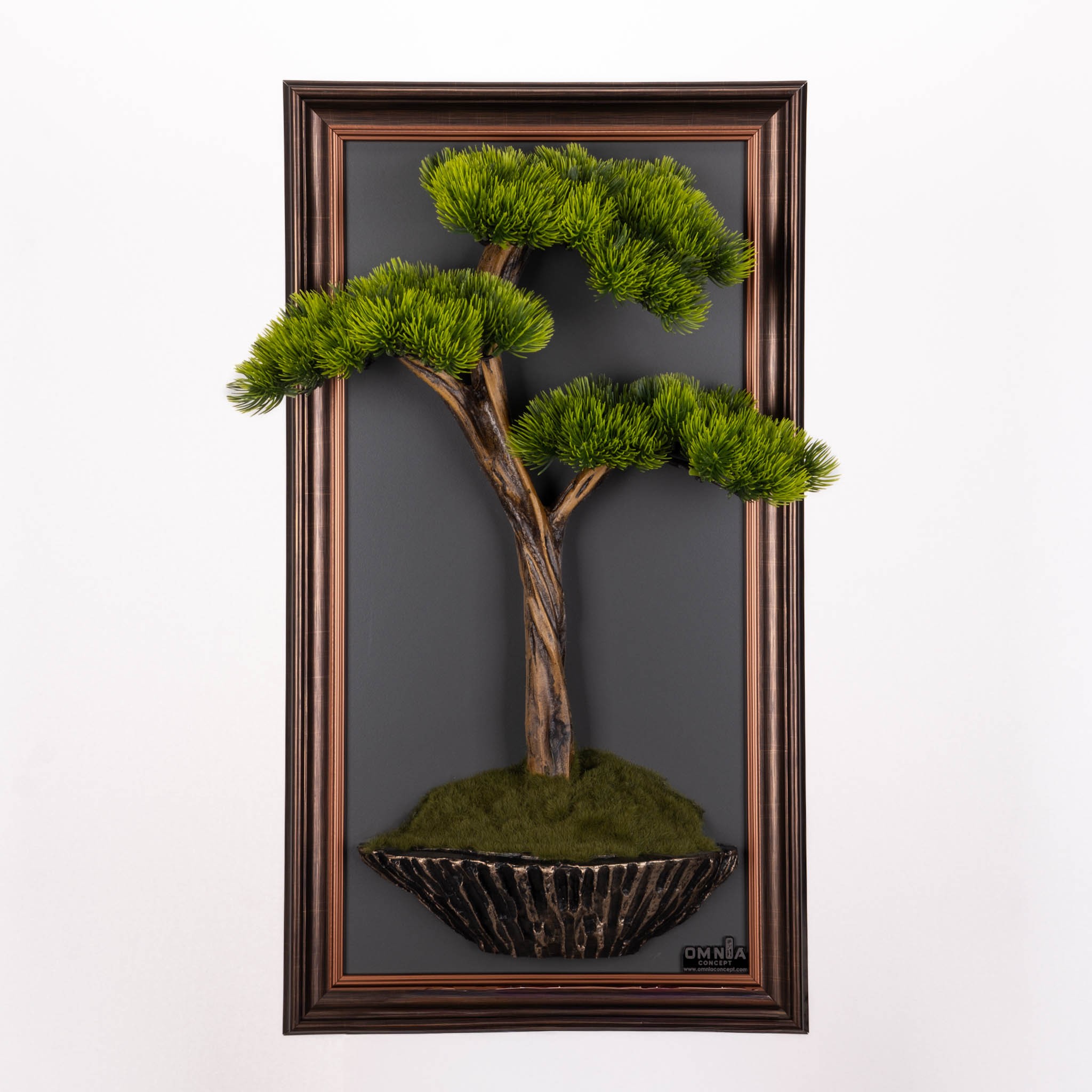 Bonsai Tableau-3B