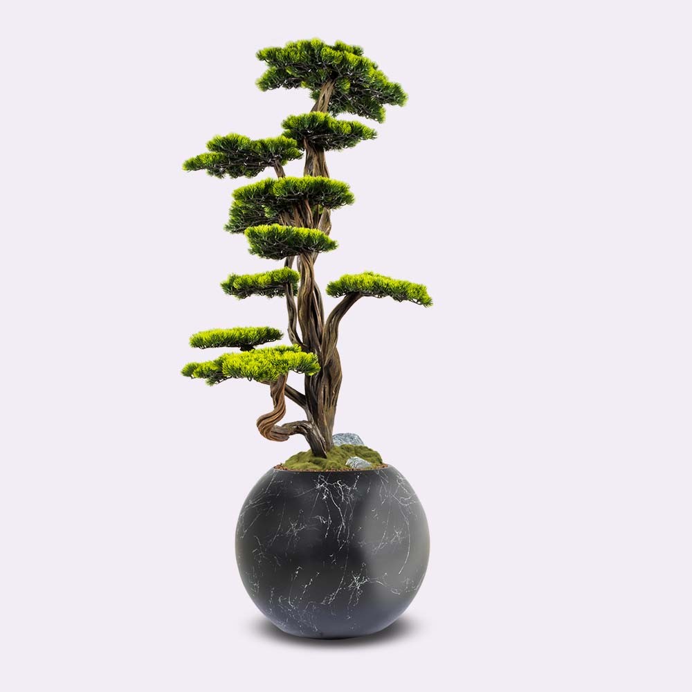 Mira Bonsai - 6