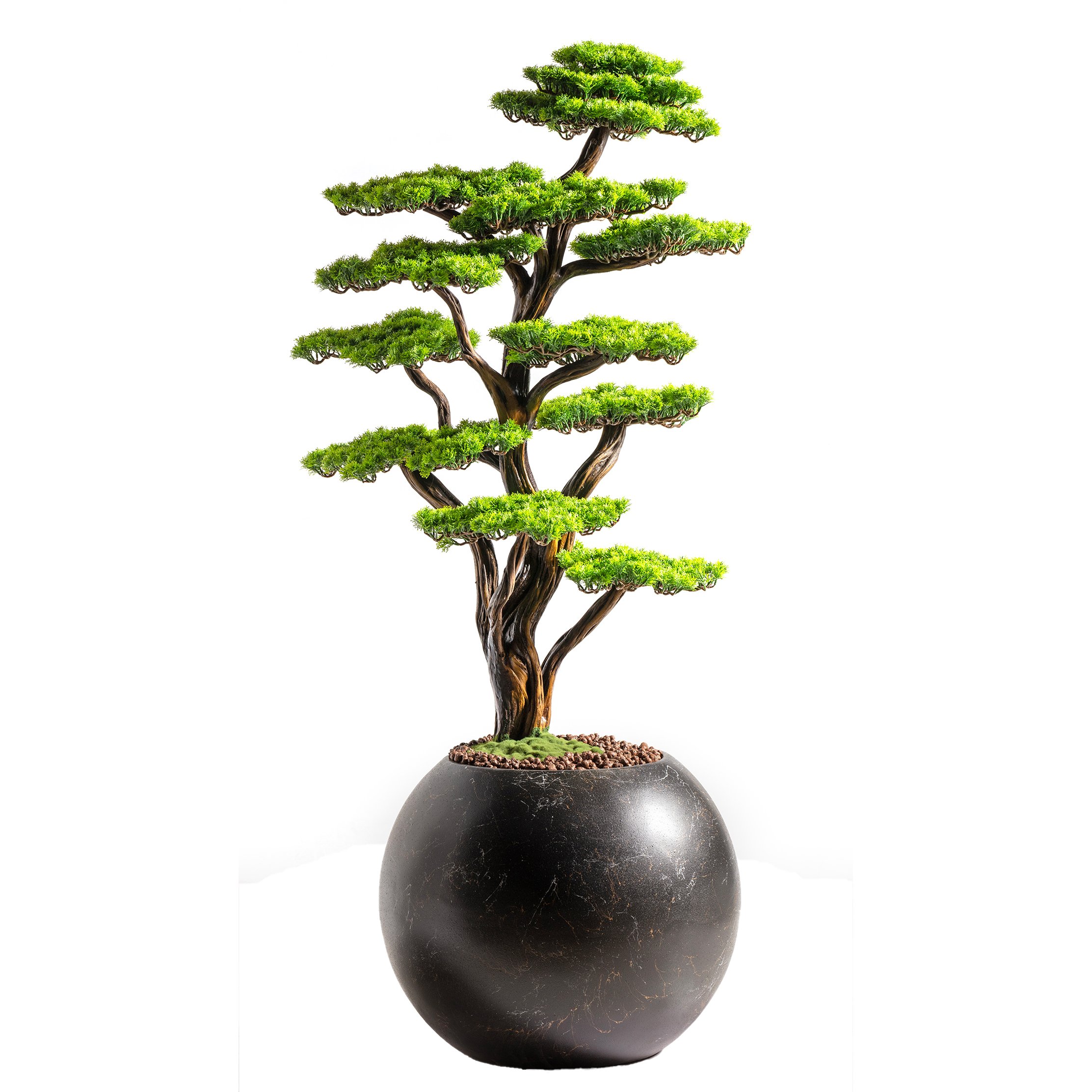 Mira Bonsai - 7