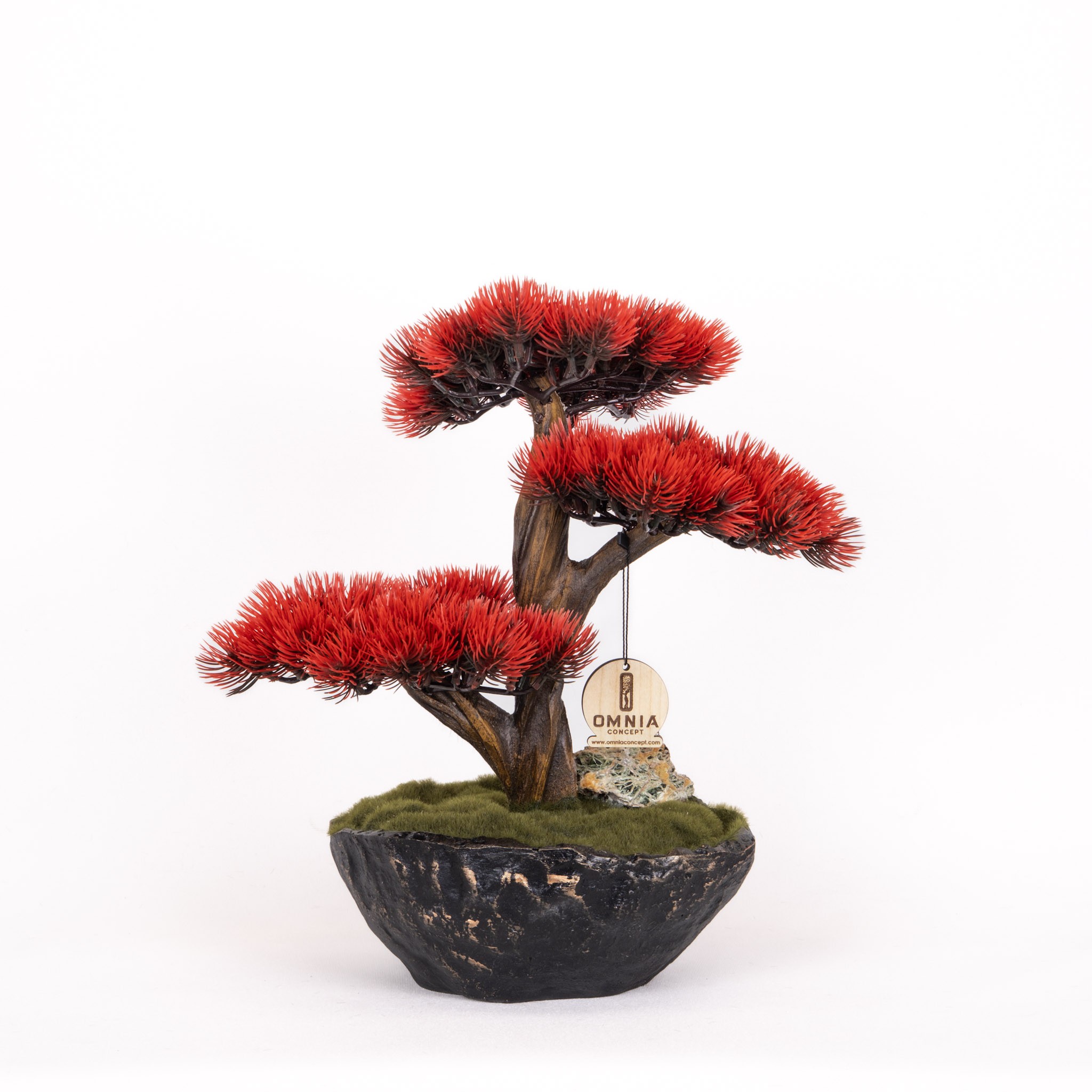 Calipso Bonsai-3-1
