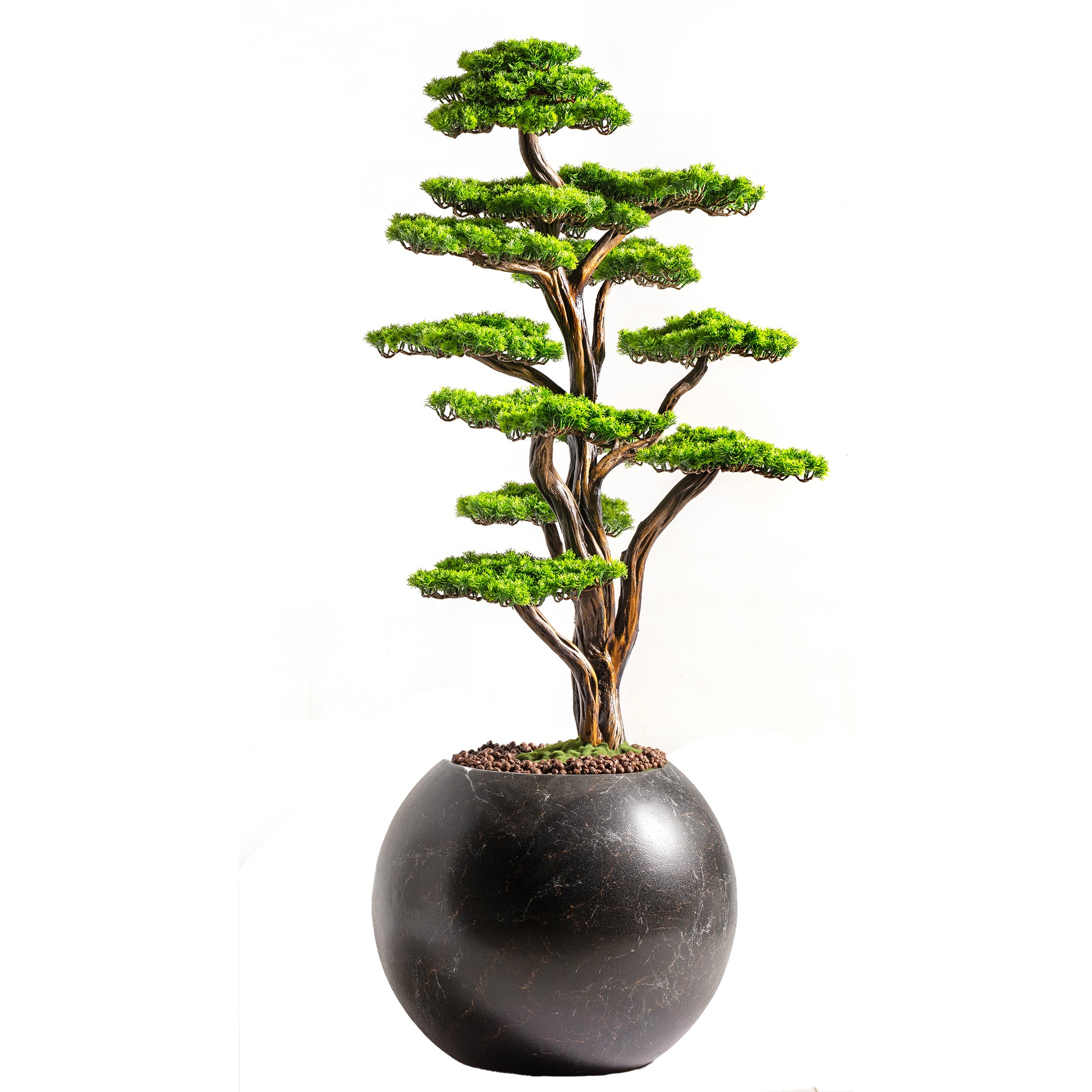 Mira Bonsai - 7