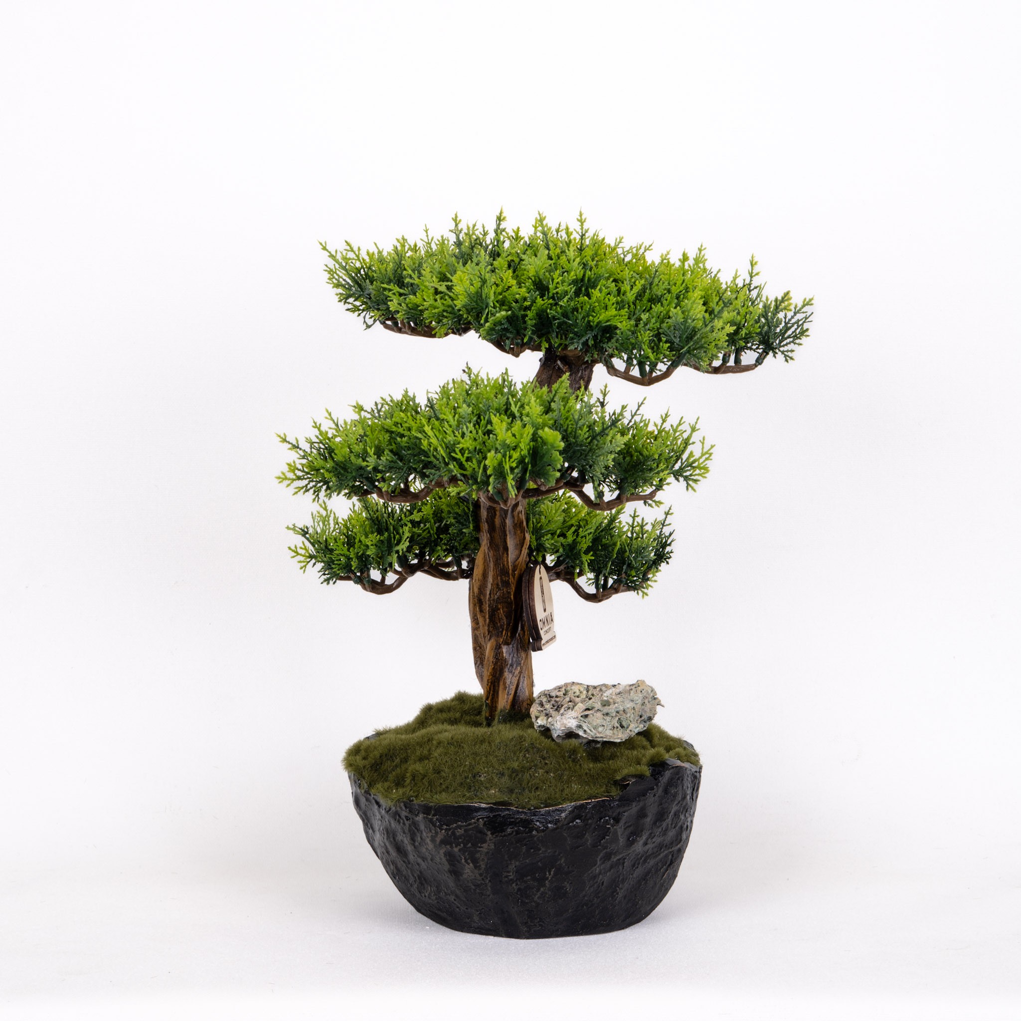 Calipso Bonsai-1