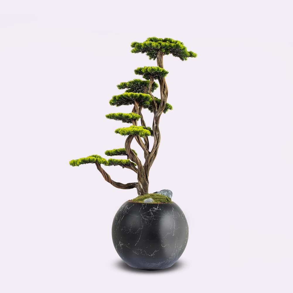 Mira Bonsai - 6