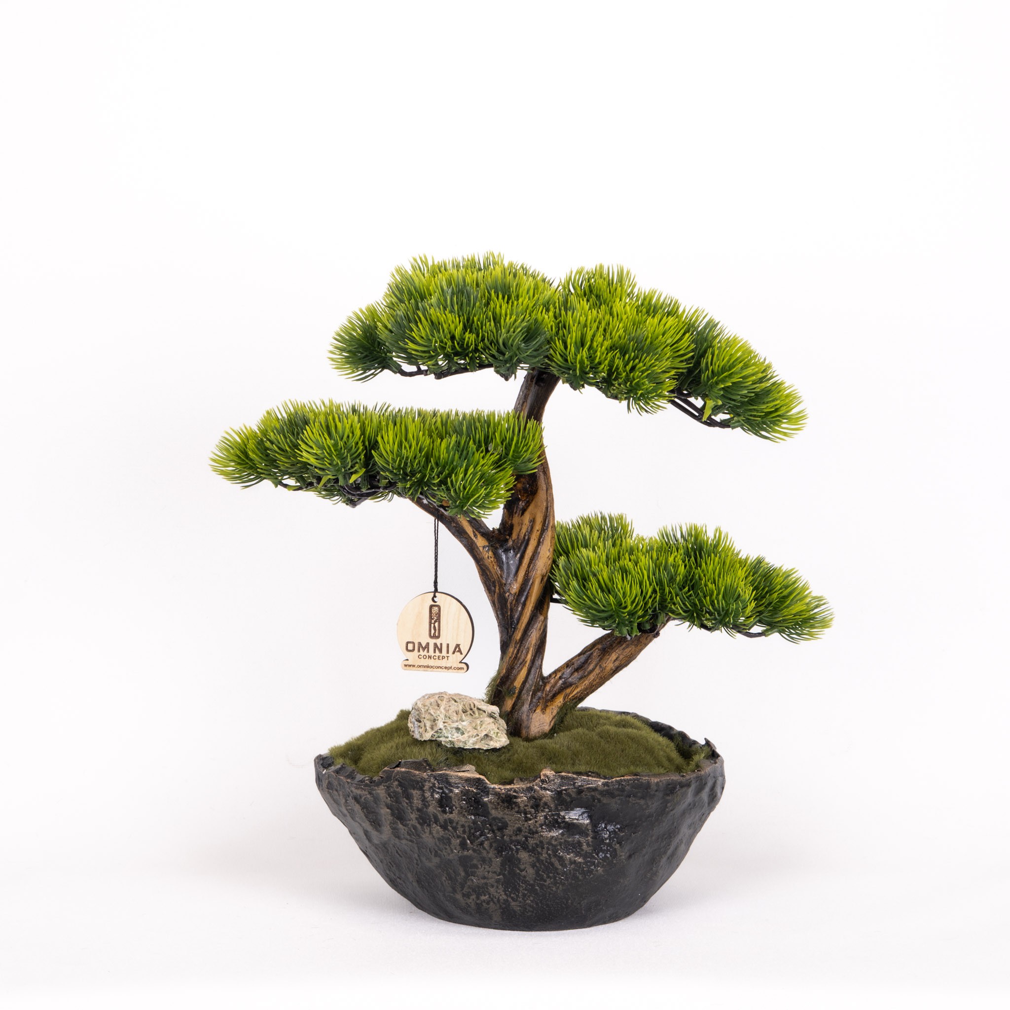 Calipso Bonsai-3