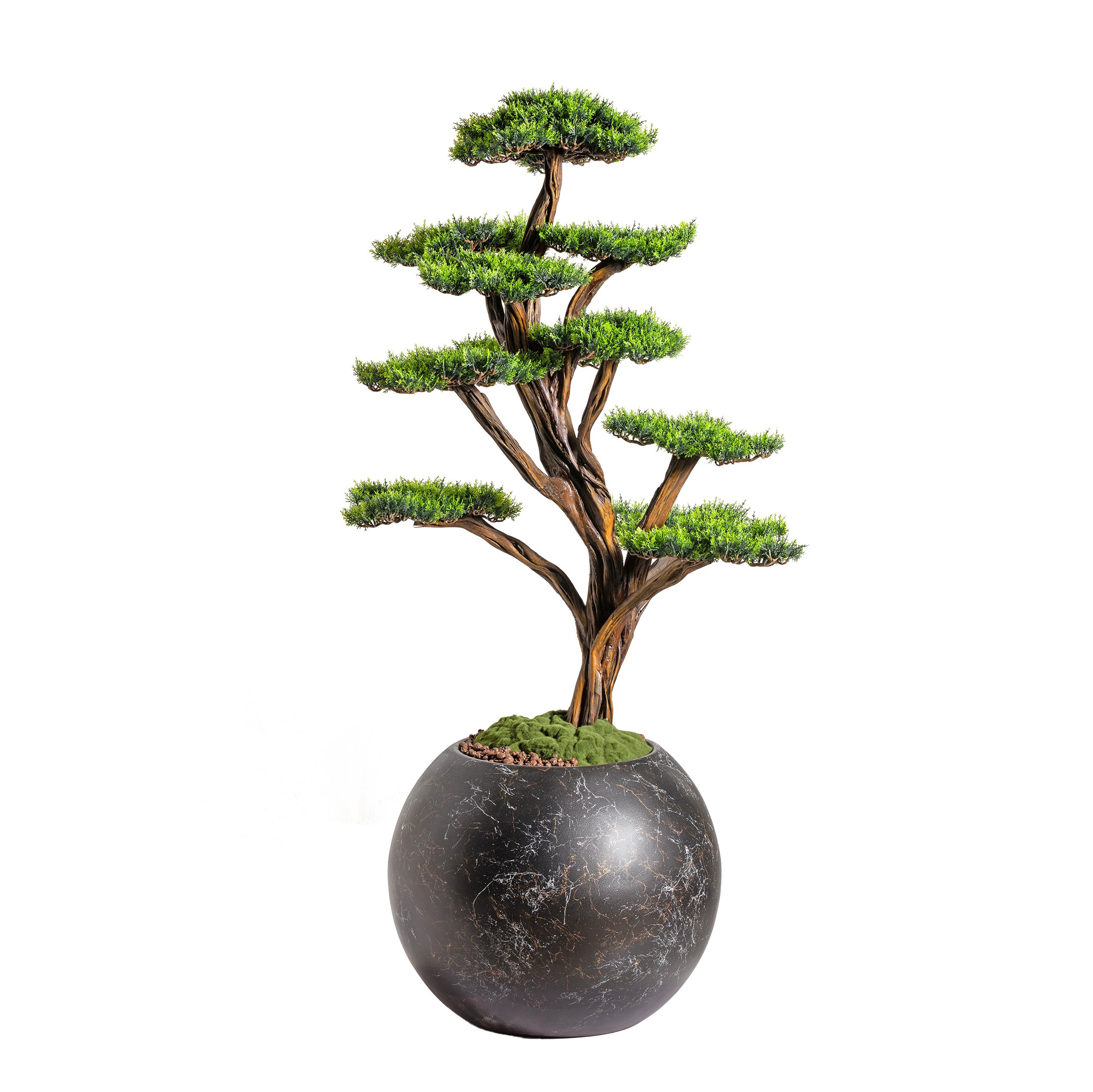 Mira Bonsai - 1