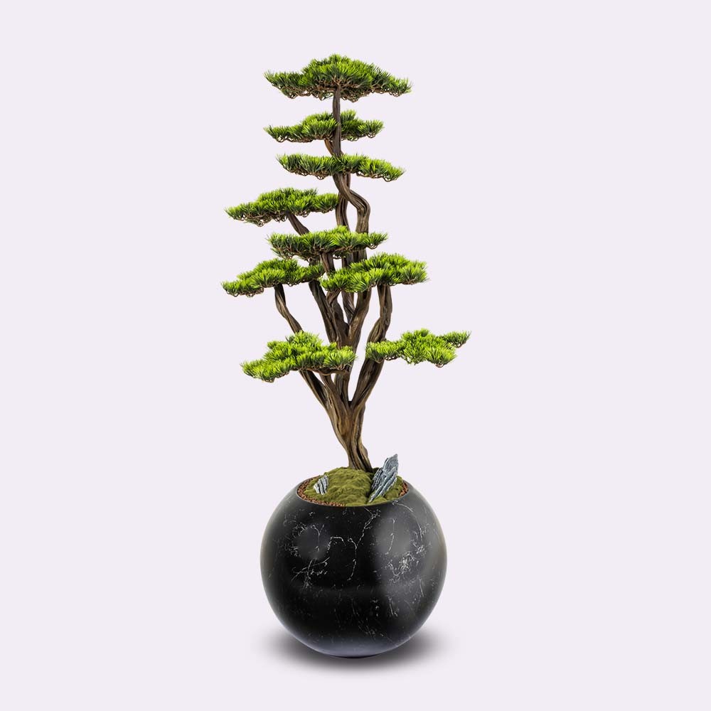 Mira Bonsai - 4