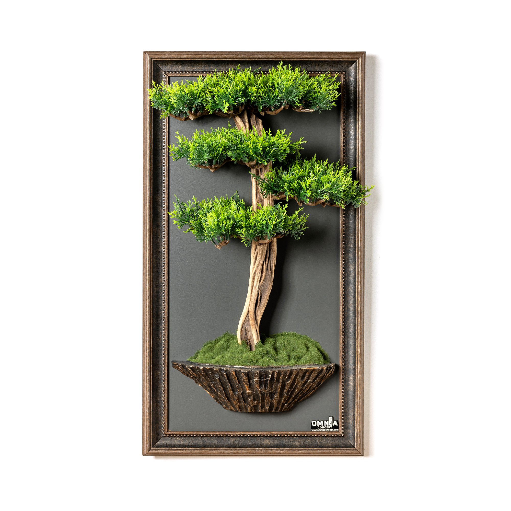 Bonsai Tableau-1