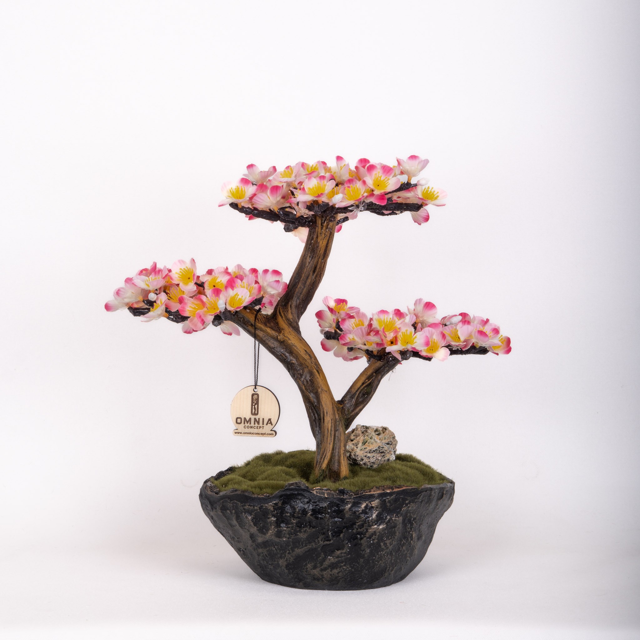 Calipso Bonsai-2