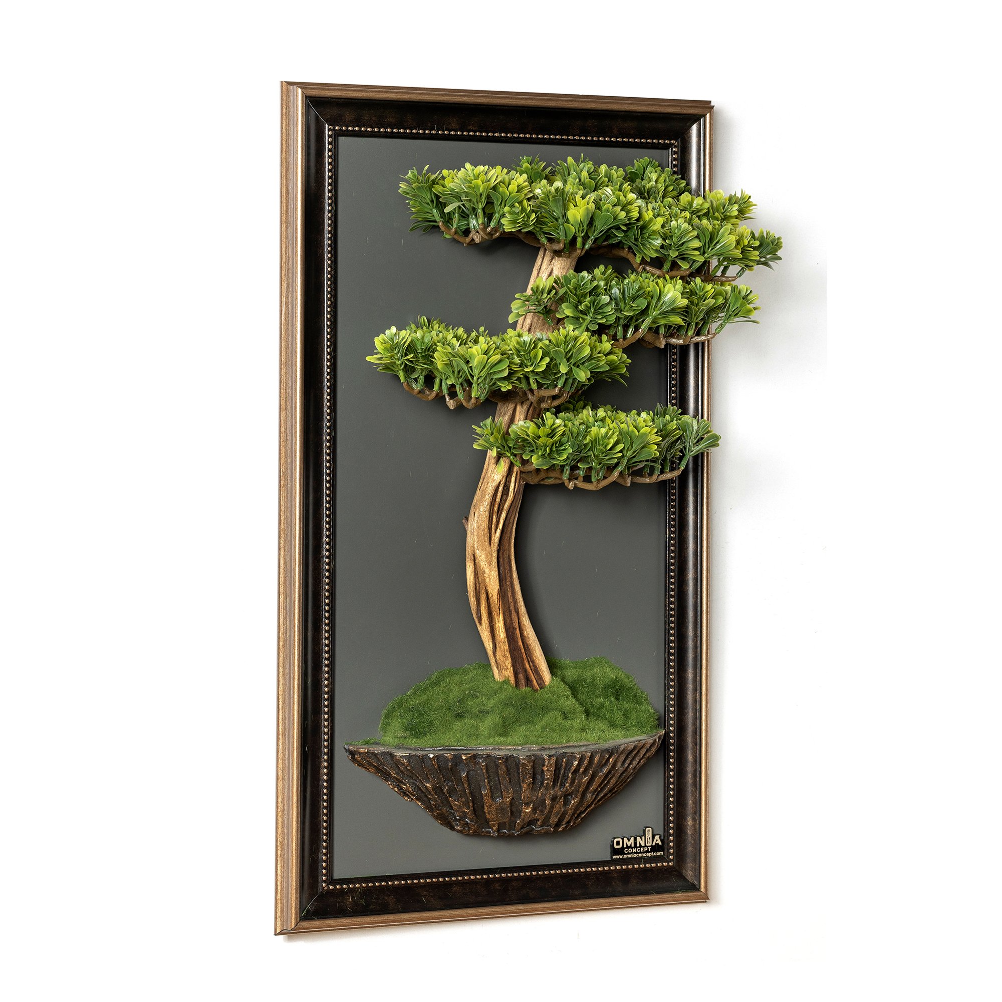 Bonsai Tableau-5