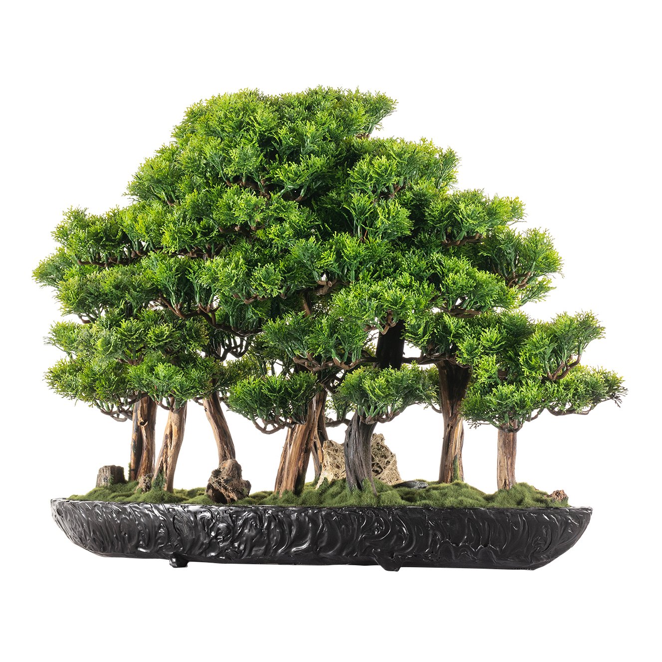 Navis Bonsai Garden