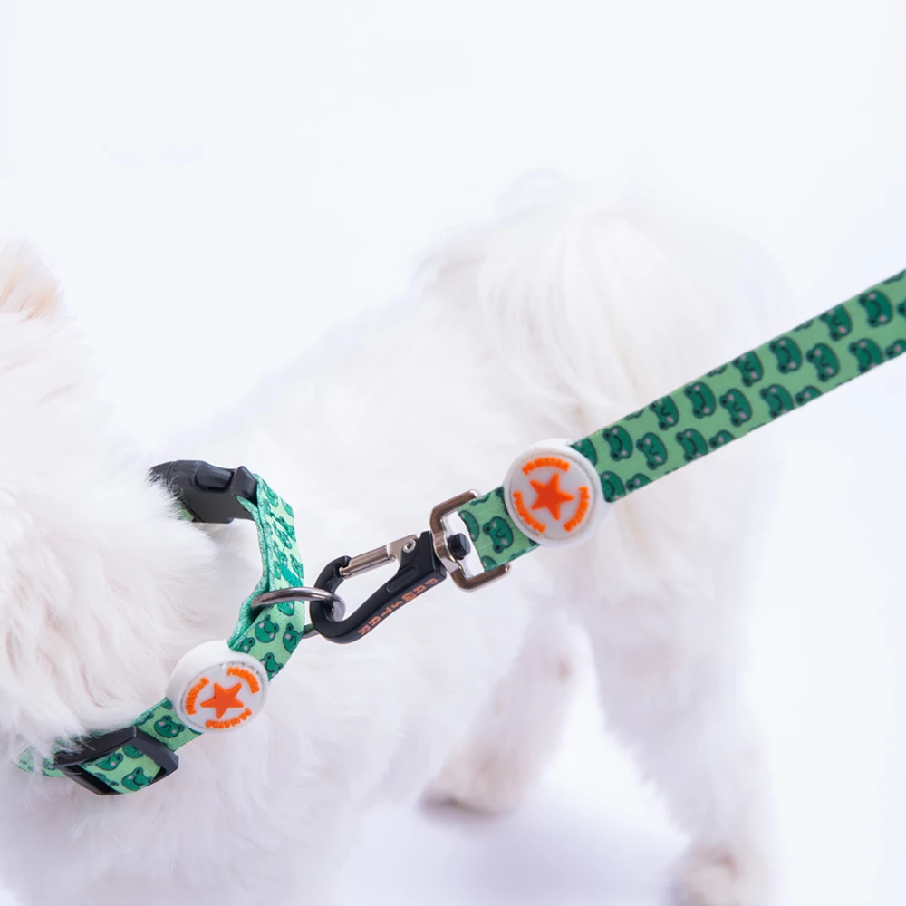 DC33-Frog Boyun Tasması