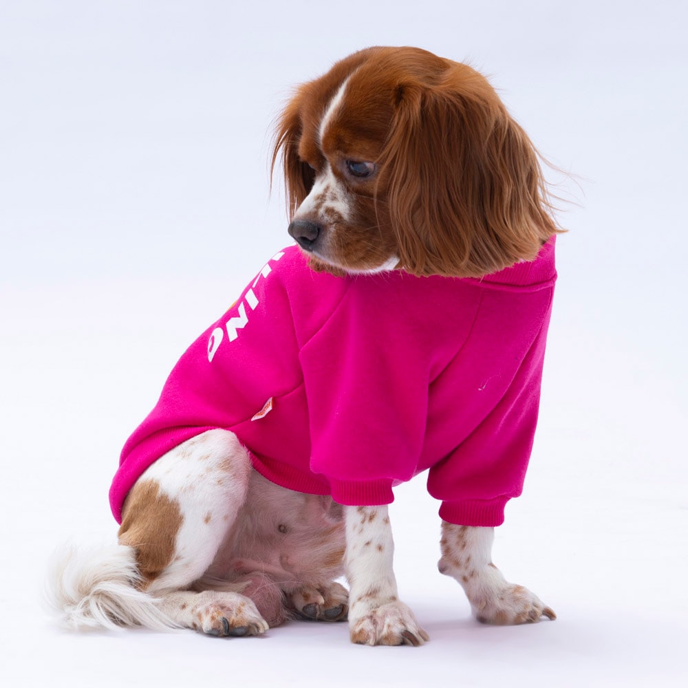 24740 Pembe Lahti Sweat