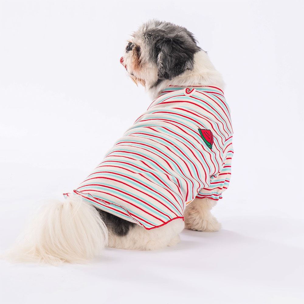 23724 Cocomero Sweat