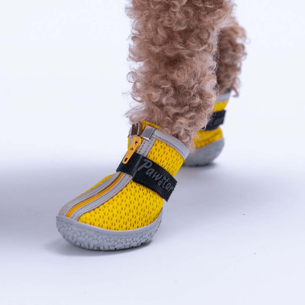 PDS15 Sarı Airmesh Köpek Ayakkabısı