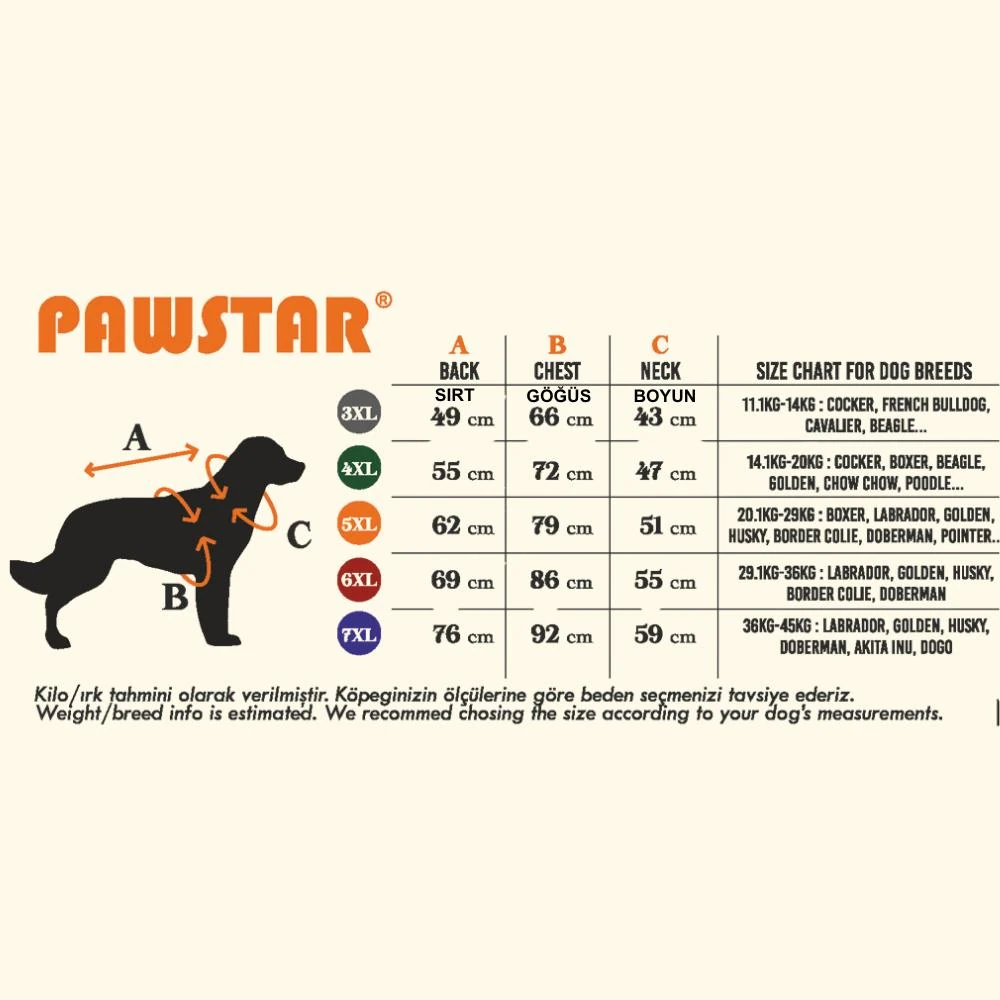 25754 Turuncu Doha Go!  Büyük Irk Sweat